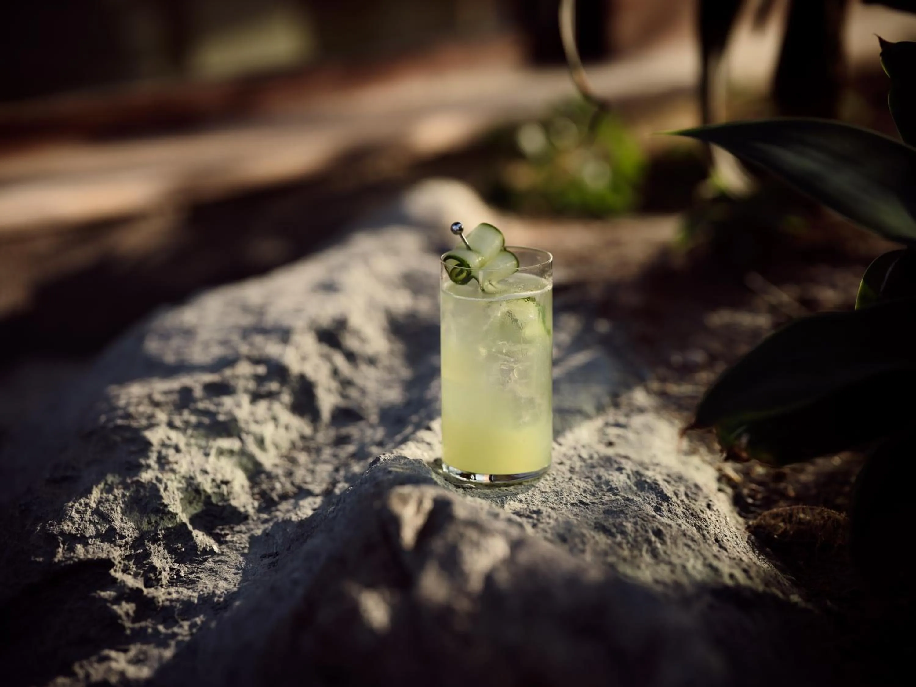 Lounge or bar in Acro Suites - A Wellbeing Resort