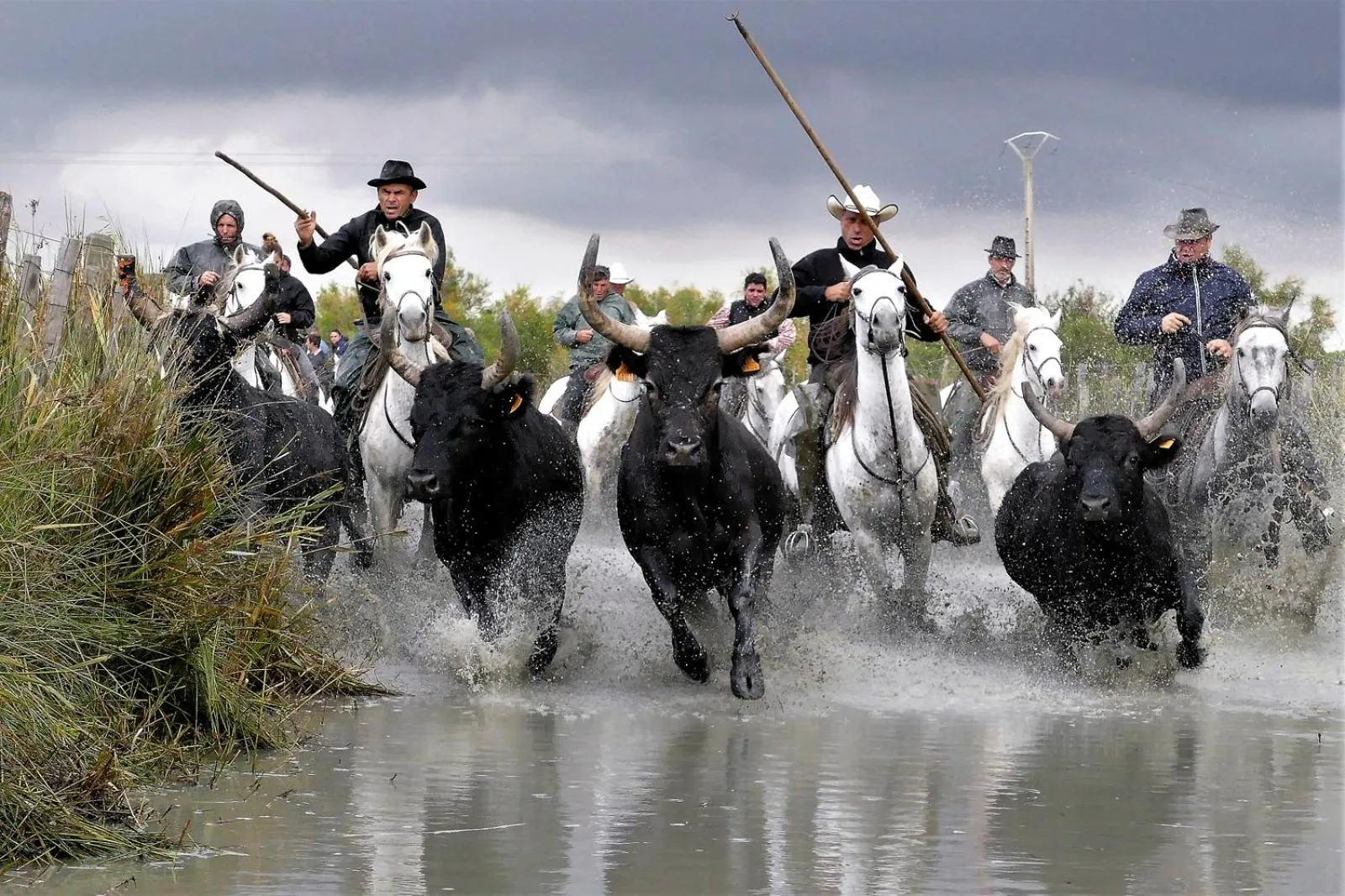 Natural landscape in chambre d'hotes les cigales