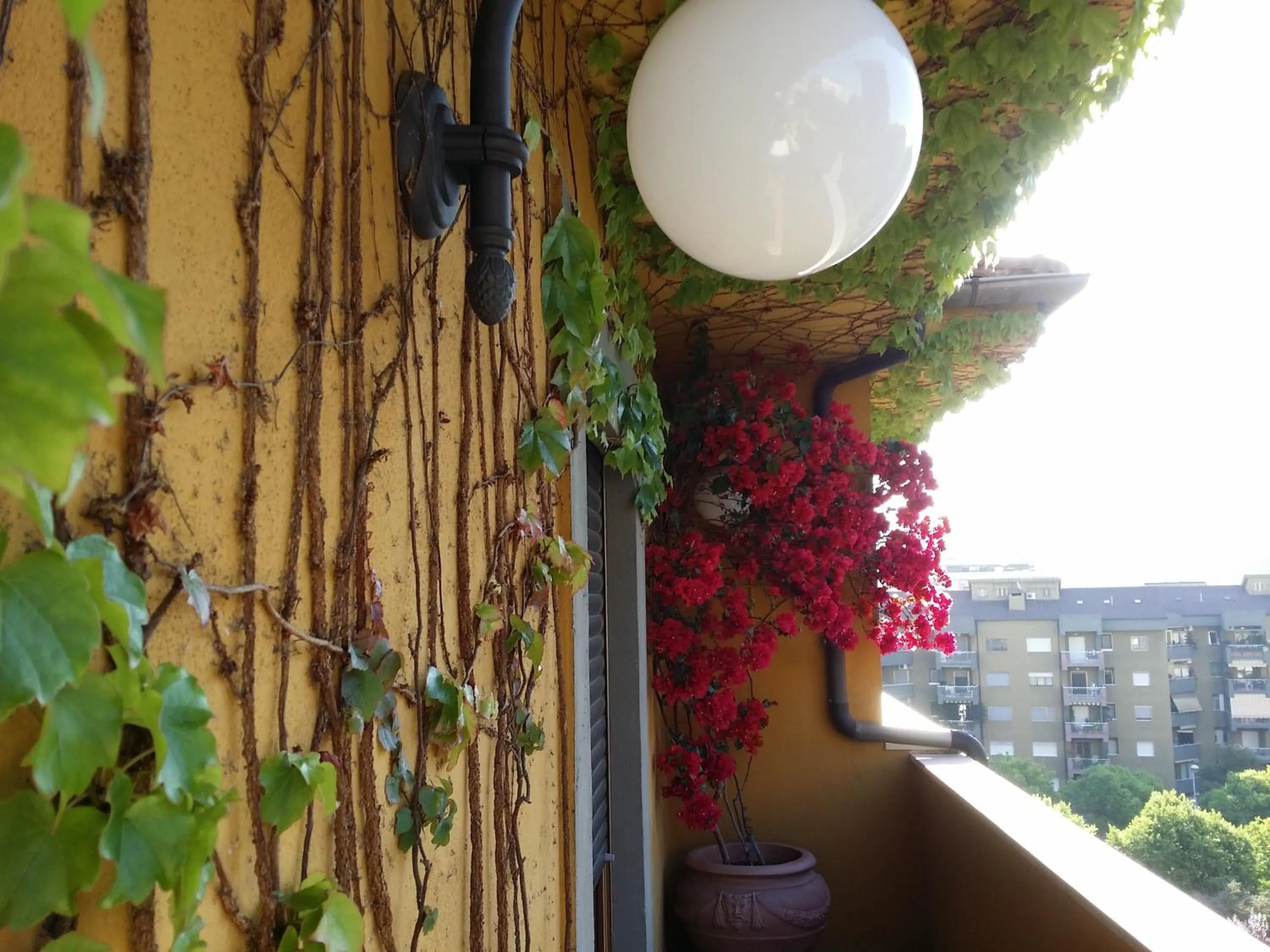 Decorative detail in B&B Tribunale