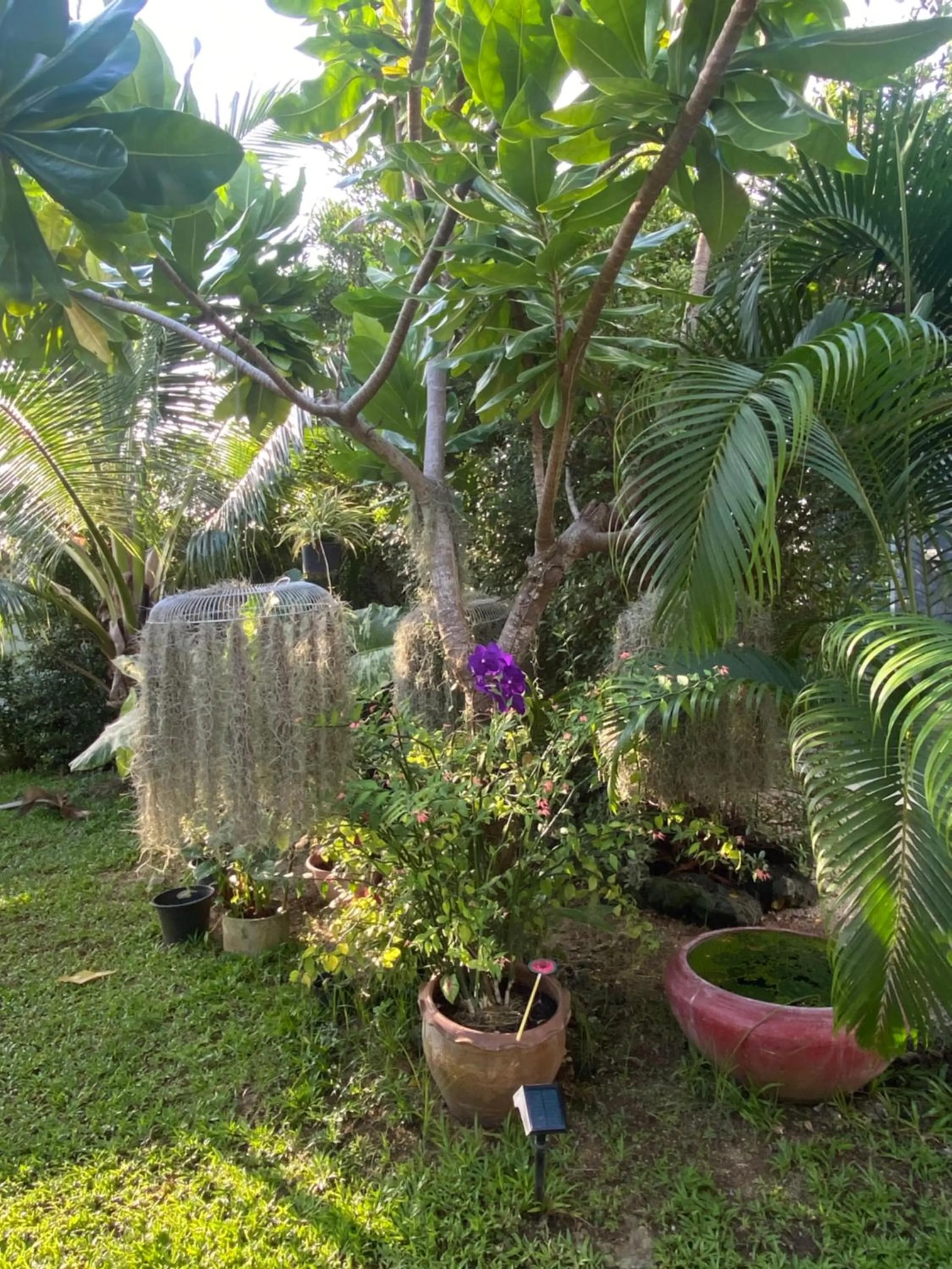 Garden in Phangan Hometown Resort - Adults Only