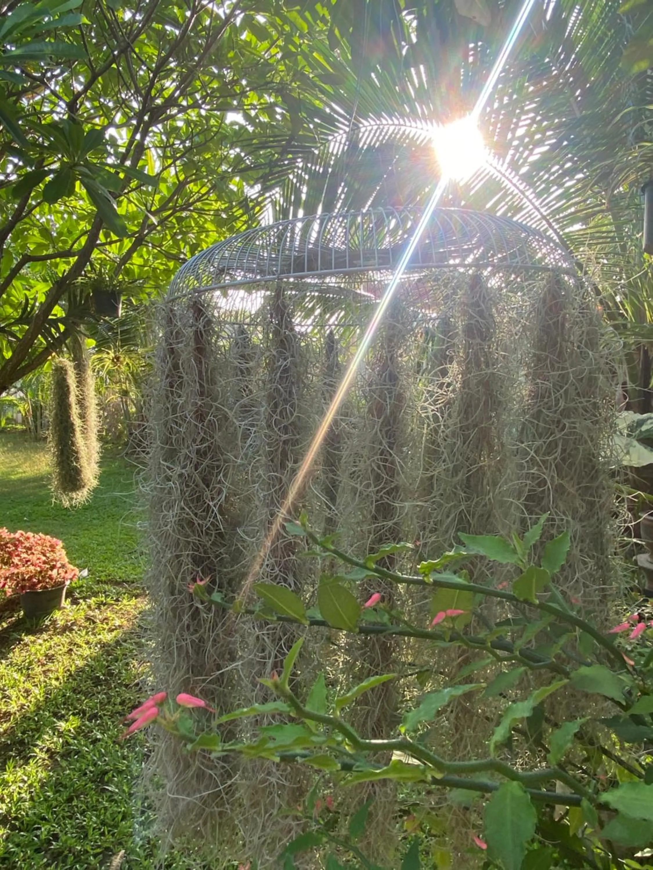 Garden view in Phangan Hometown Resort - Adults Only