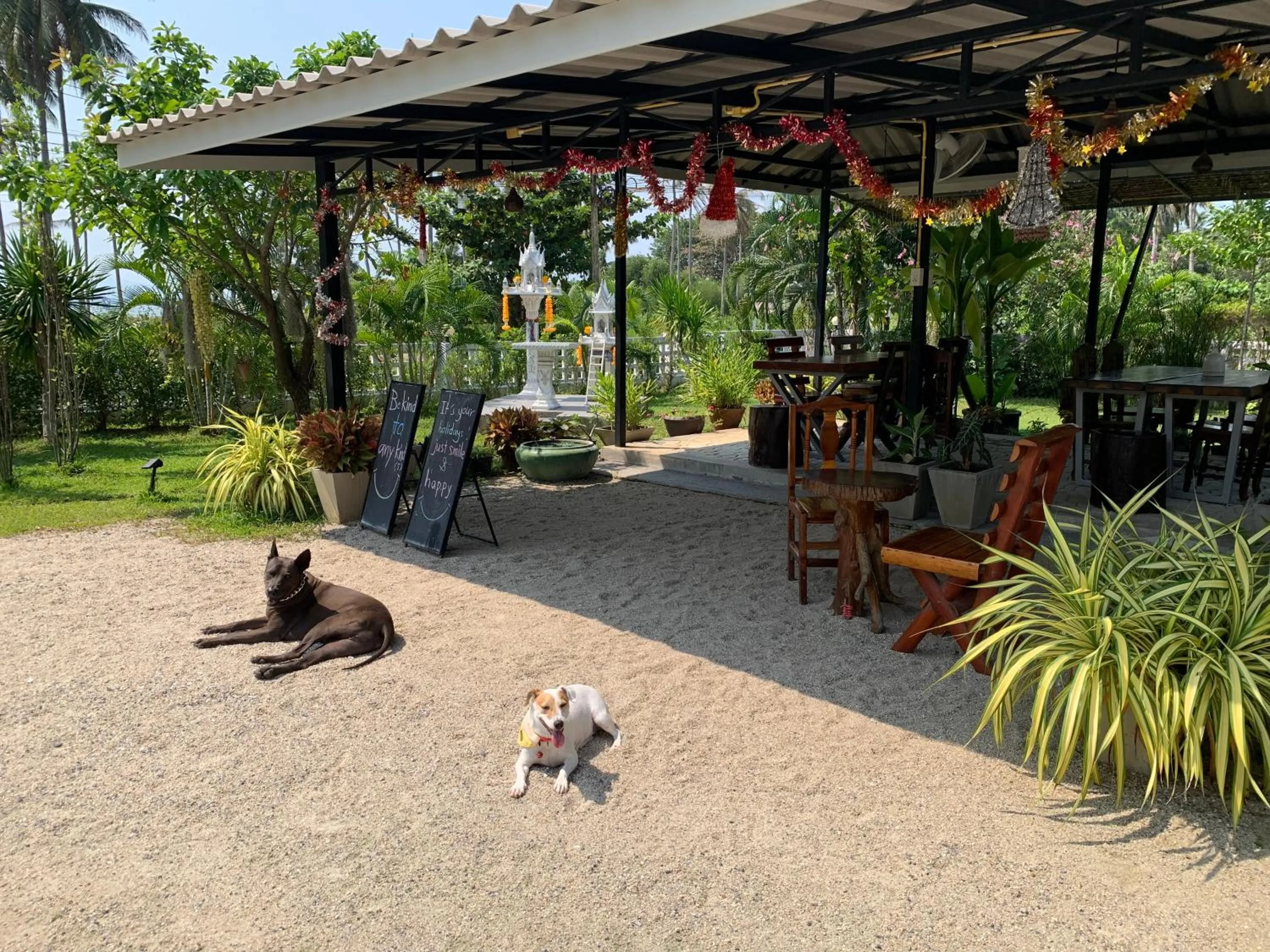 Pets in Phangan Hometown Resort - Adults Only