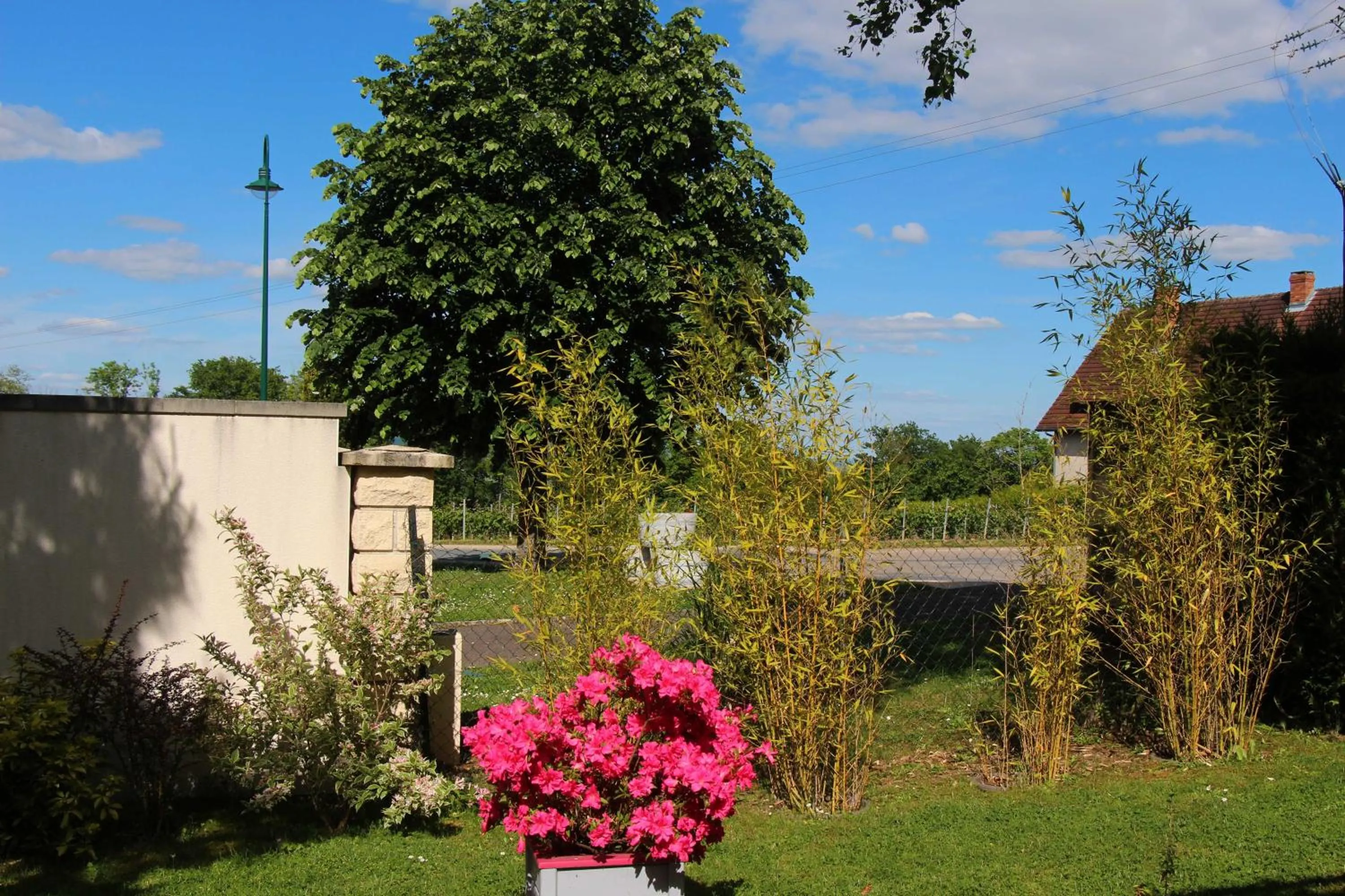 Garden in LA TUILIERE