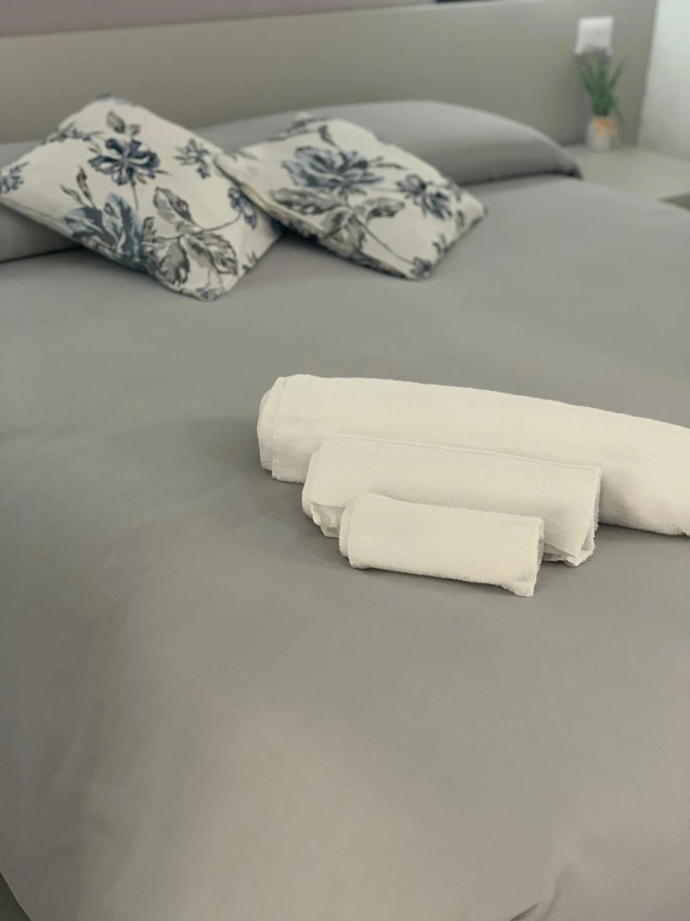 Deluxe Double or Twin Room with Balcony in Il Canale Design House