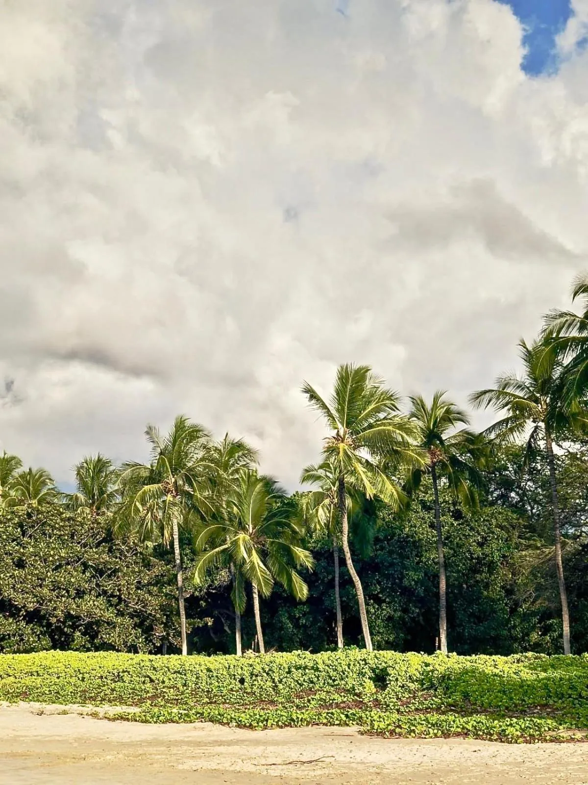 Natural landscape in Unwind on Your Fantasy Hawaiian Vacation- 1BD/1BA Condo in Kailua-Kona, Hawaii