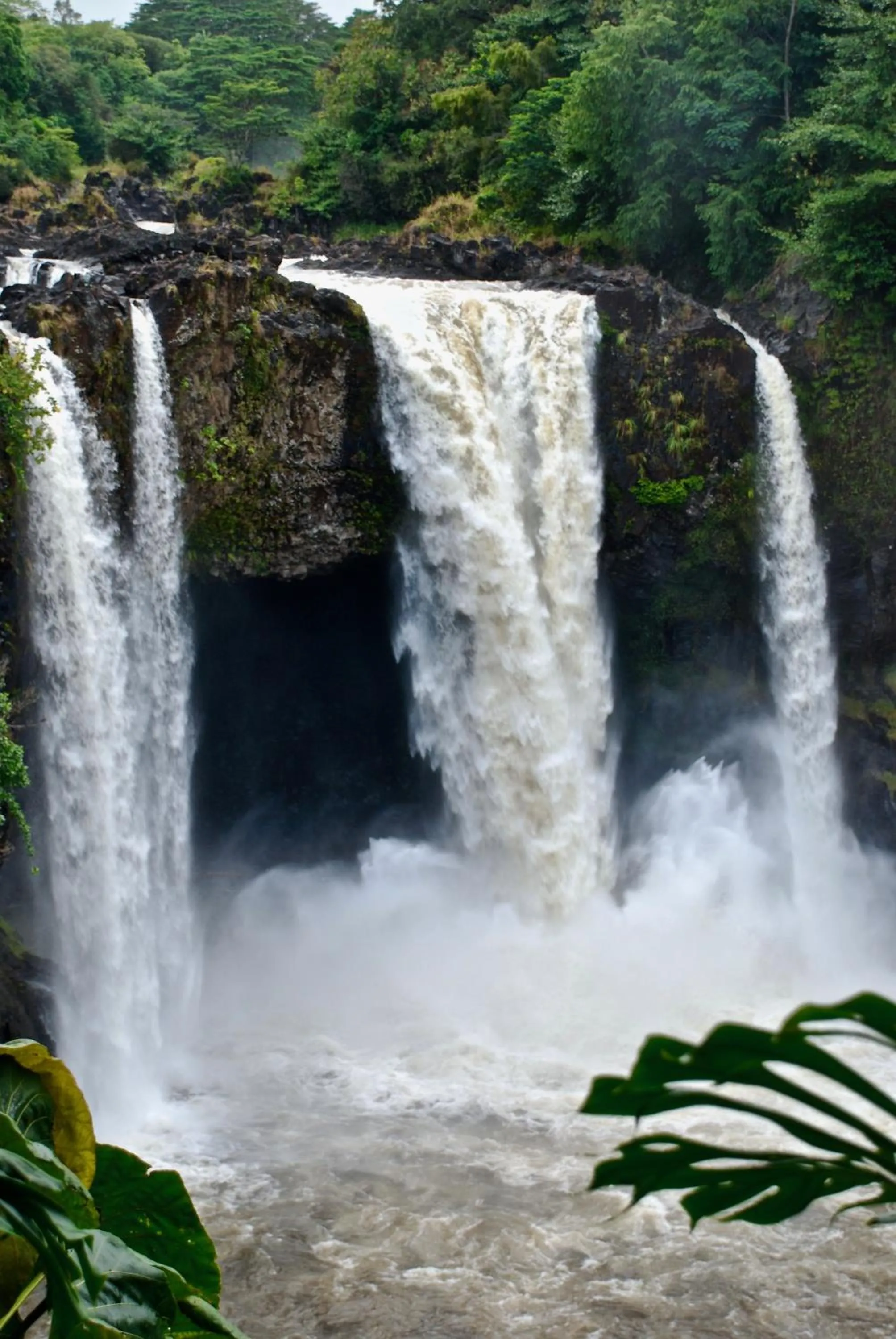 Natural landscape in Unwind on Your Fantasy Hawaiian Vacation- 1BD/1BA Condo in Kailua-Kona, Hawaii