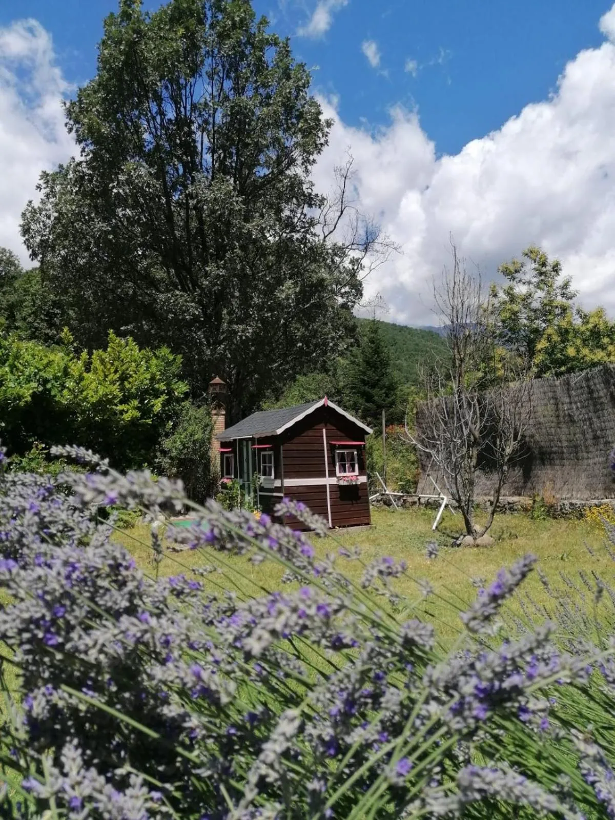 Hotel Rural El Marquesito Antigua Casa Carmela