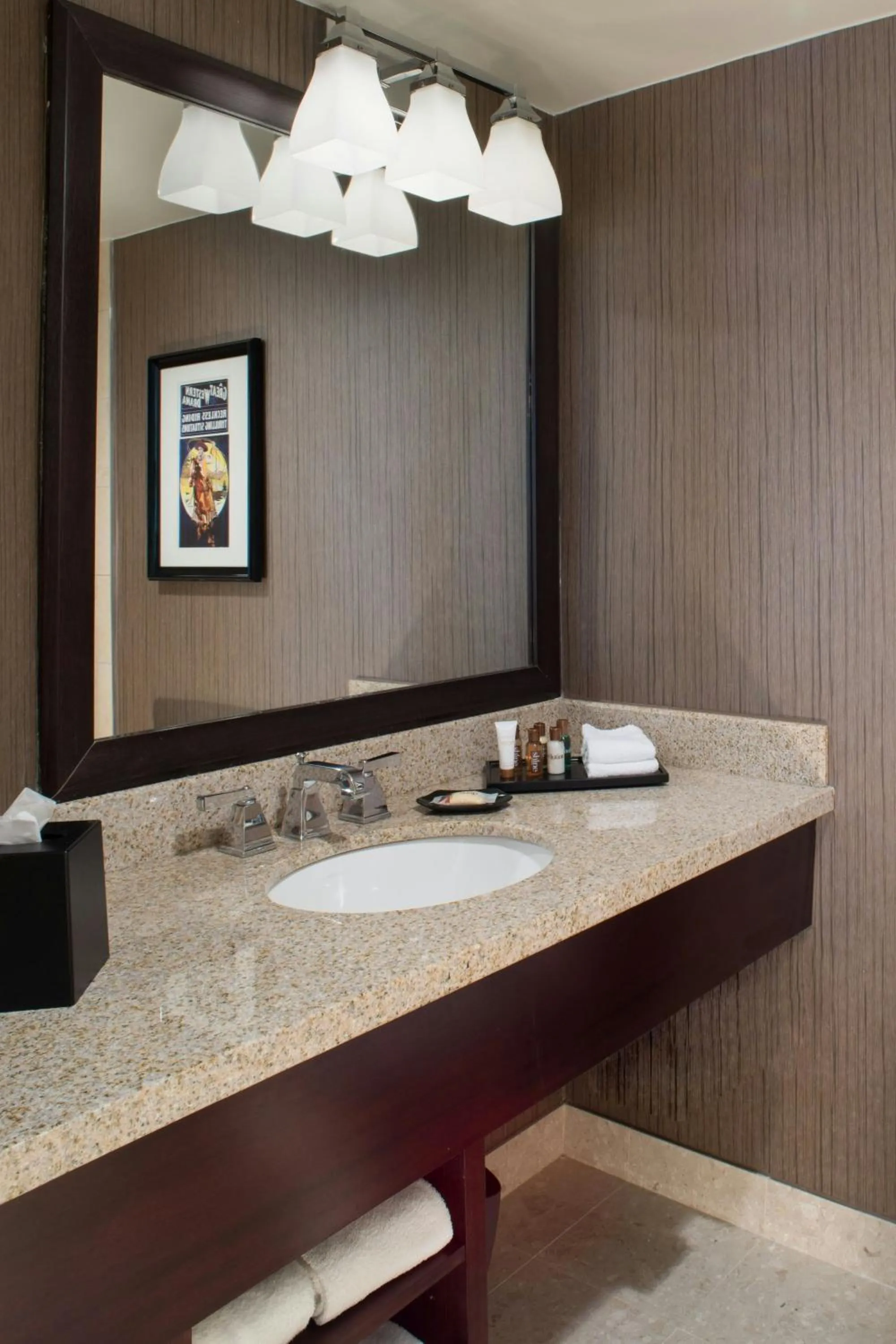 Bathroom in Sheraton North Houston at George Bush Intercontinental