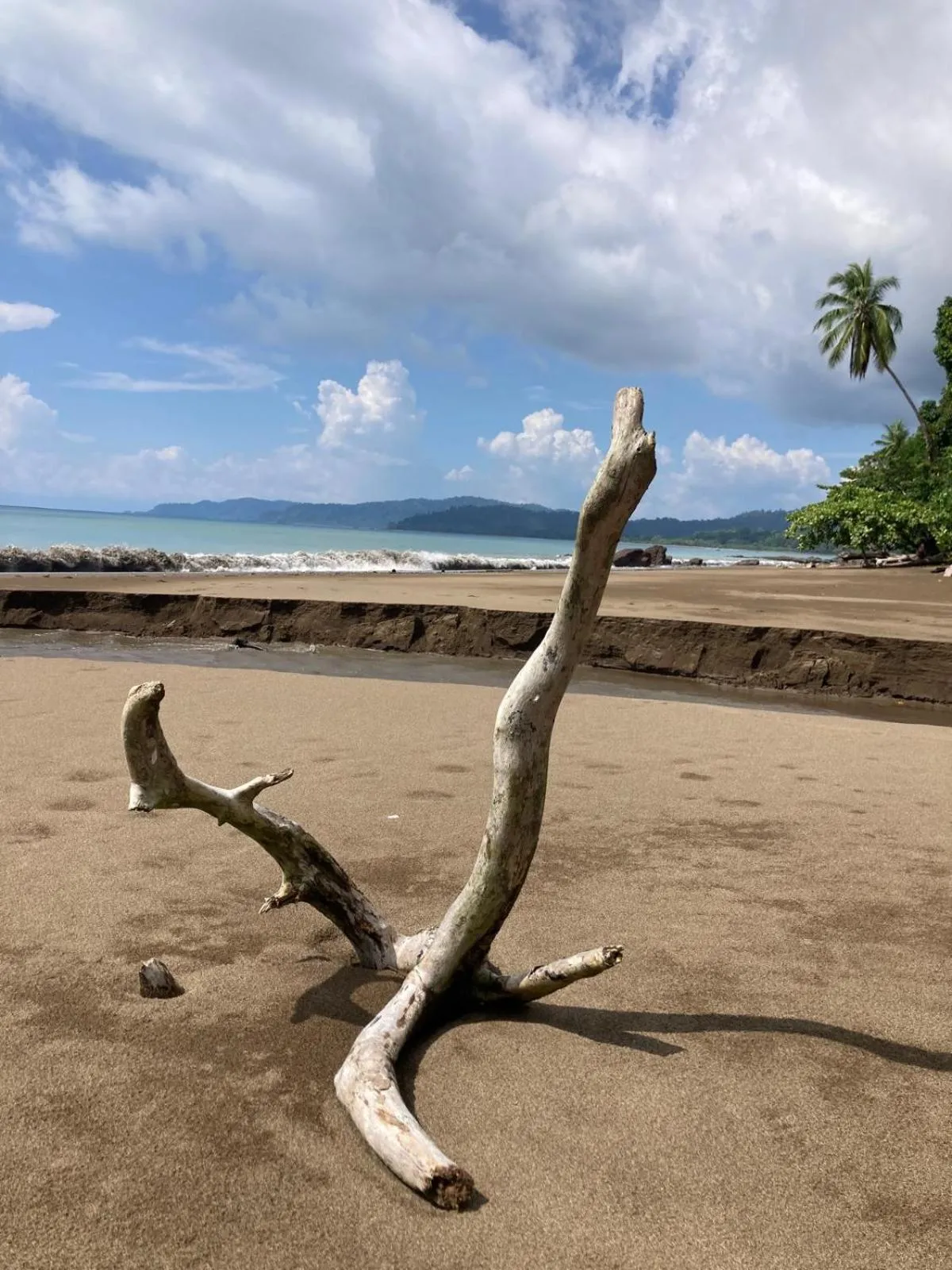 Beach in Corcovado & Drake Inn