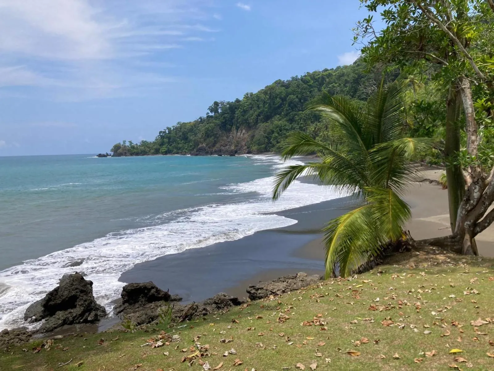 Beach in Corcovado & Drake Inn
