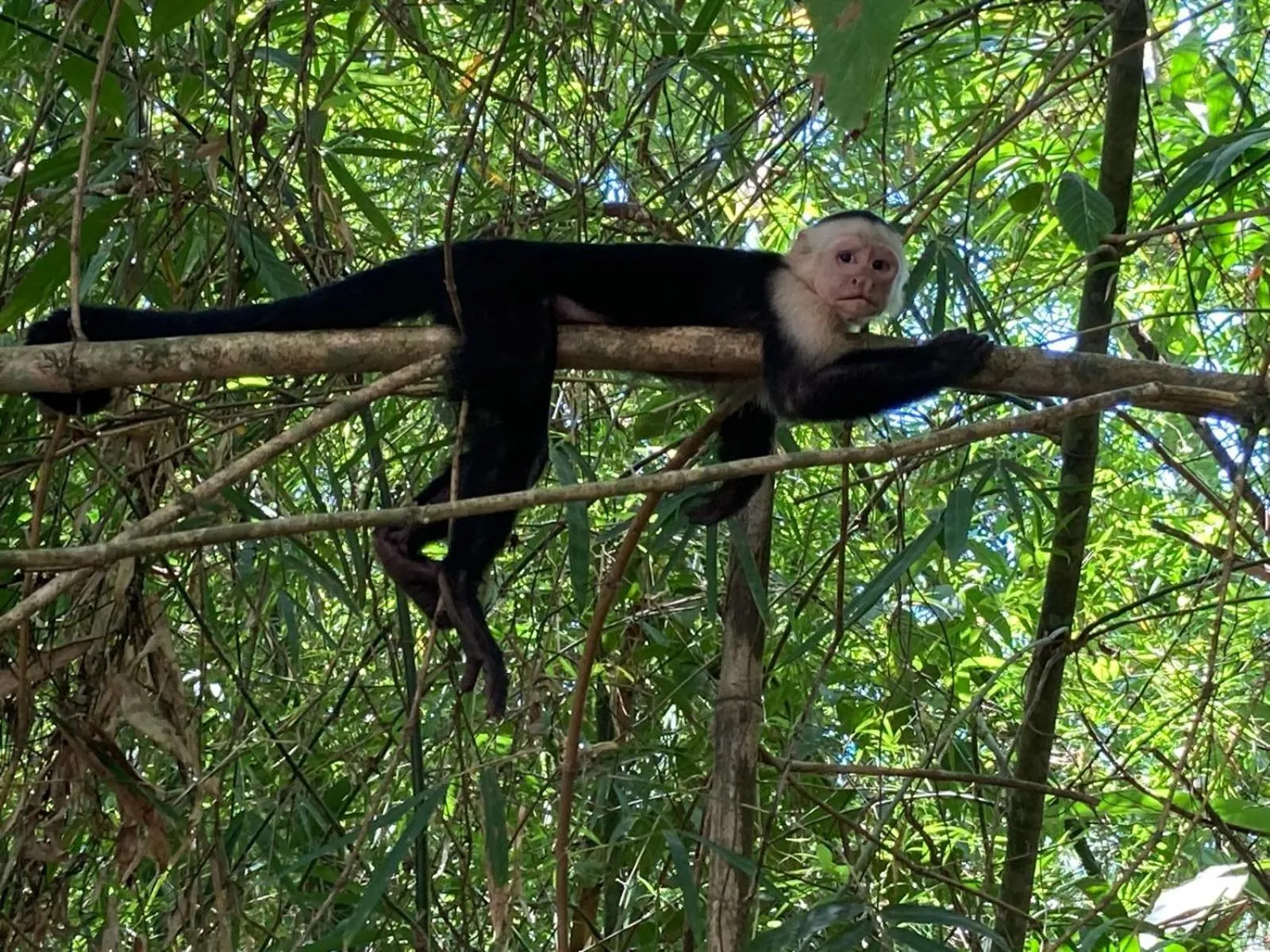 Natural landscape in Corcovado & Drake Inn
