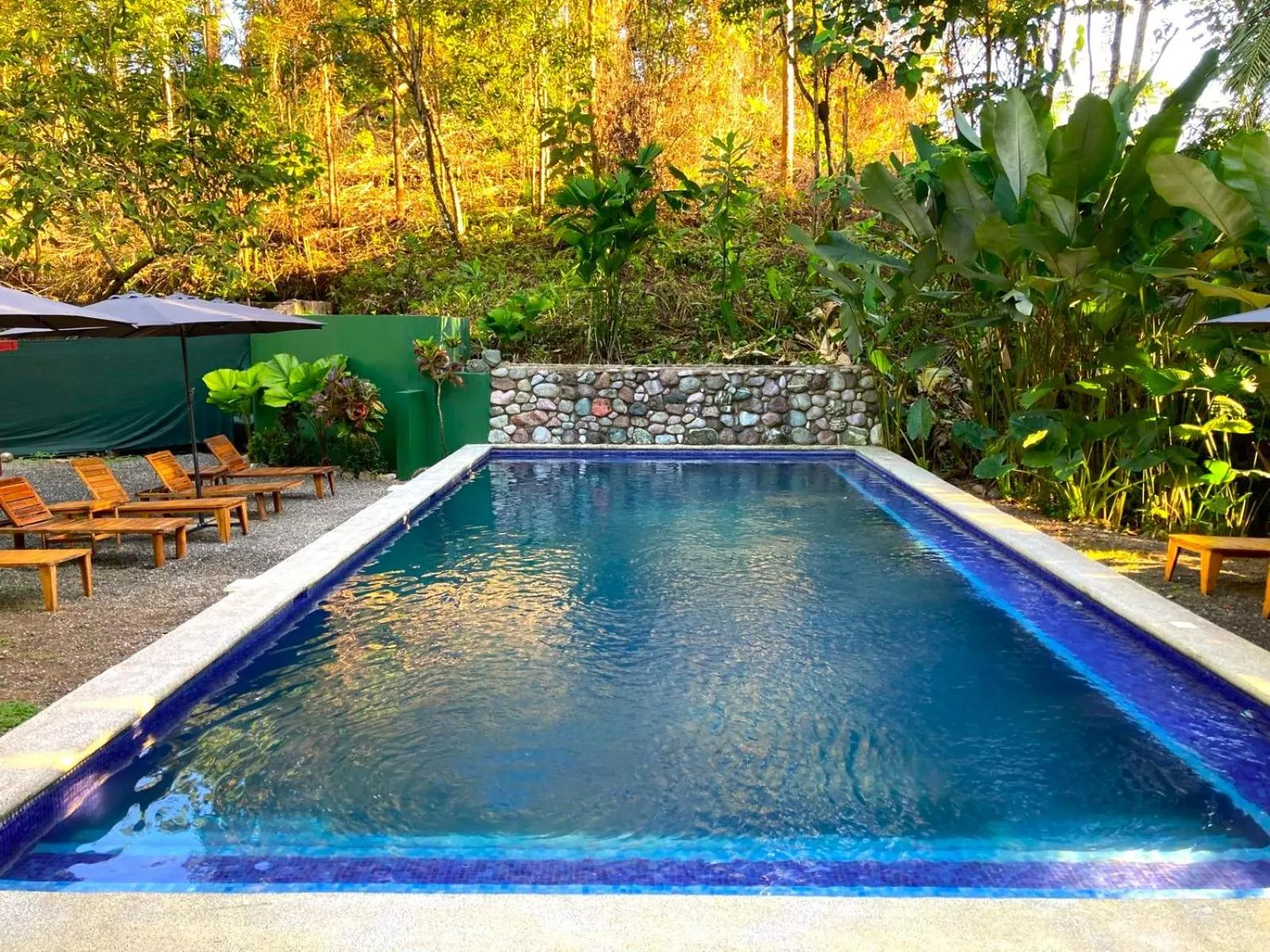 Natural landscape in Corcovado & Drake Inn