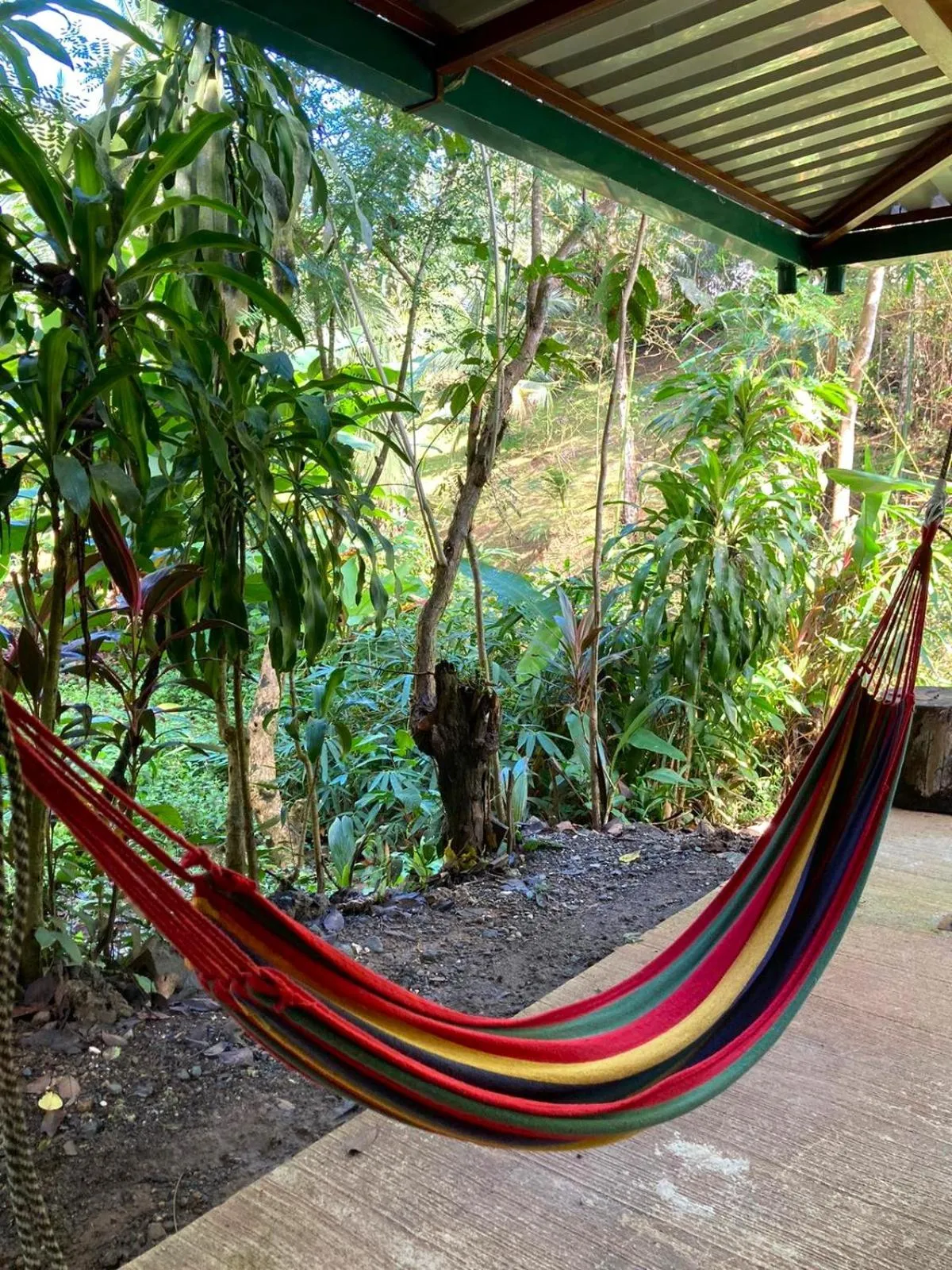 One-Bedroom Apartment in Corcovado & Drake Inn