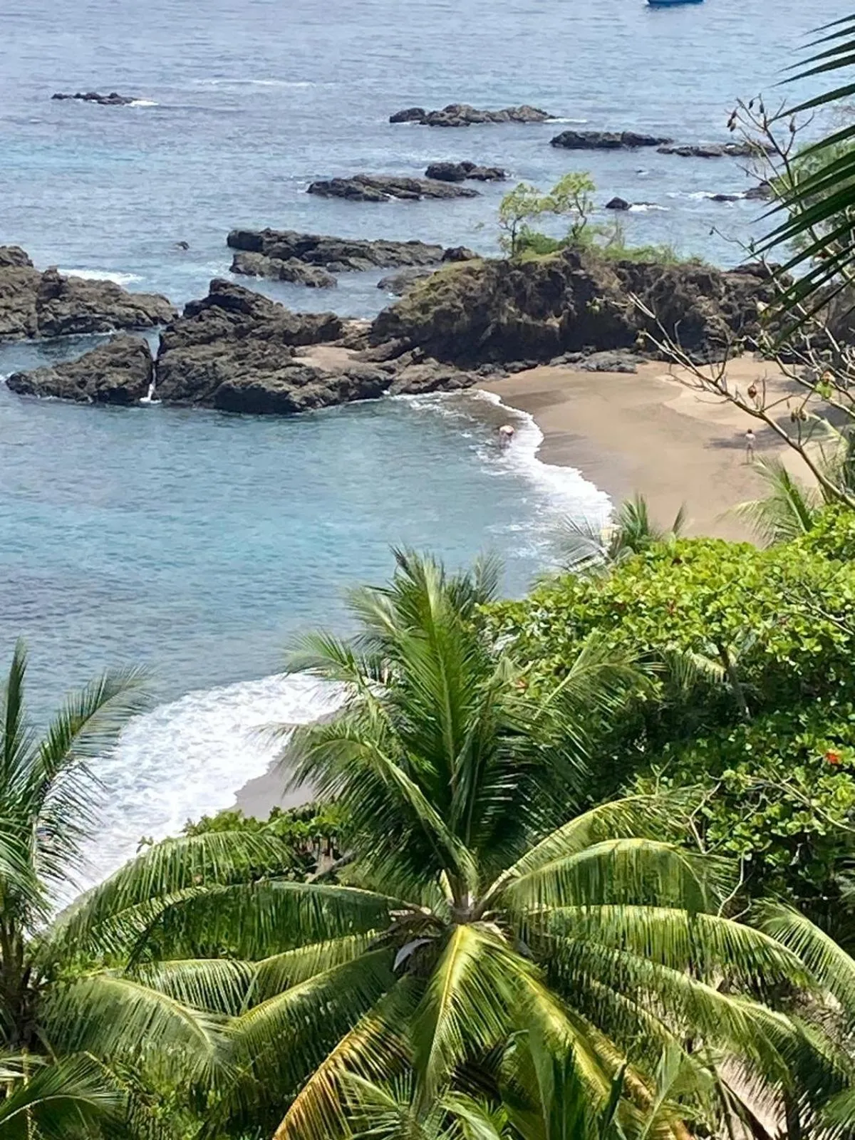 Beach in Corcovado & Drake Inn