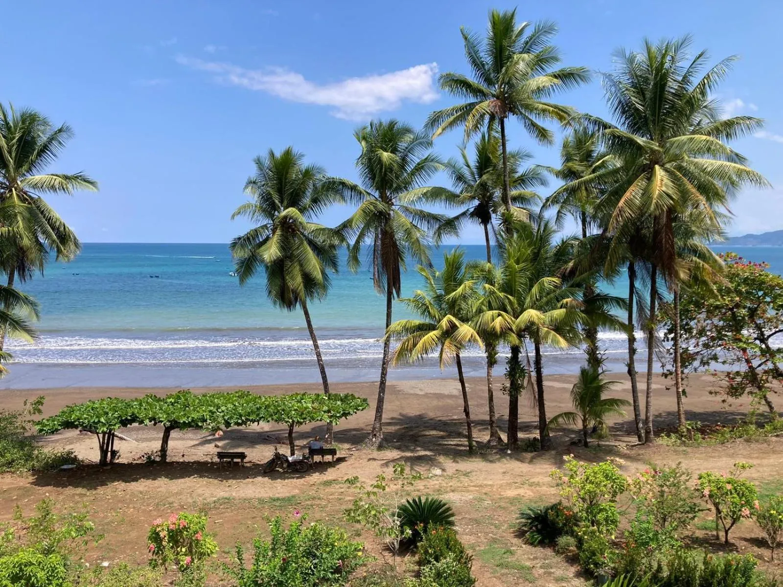 Natural landscape in Corcovado & Drake Inn