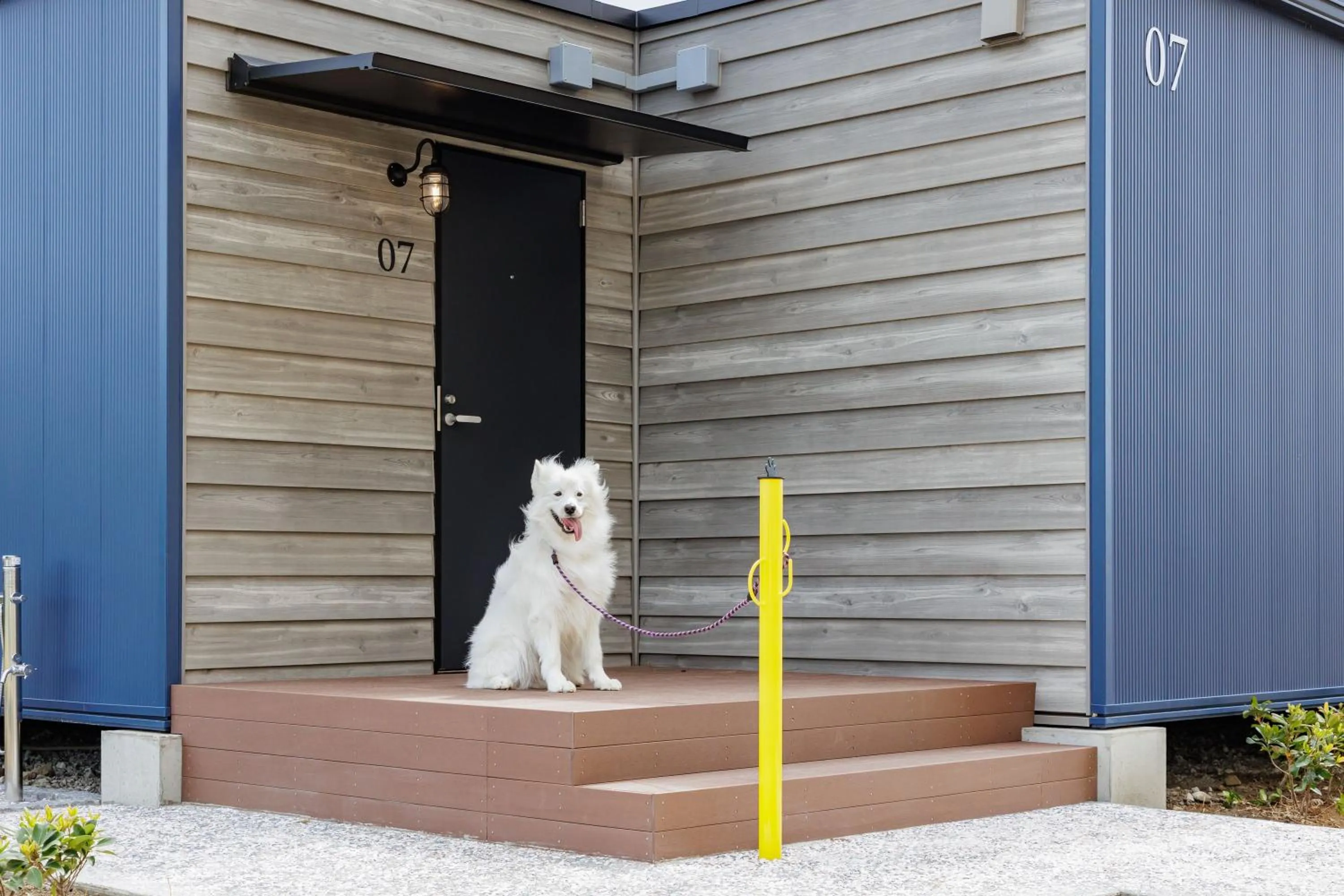 Pets in KAMENOI HOTEL Kujukuri