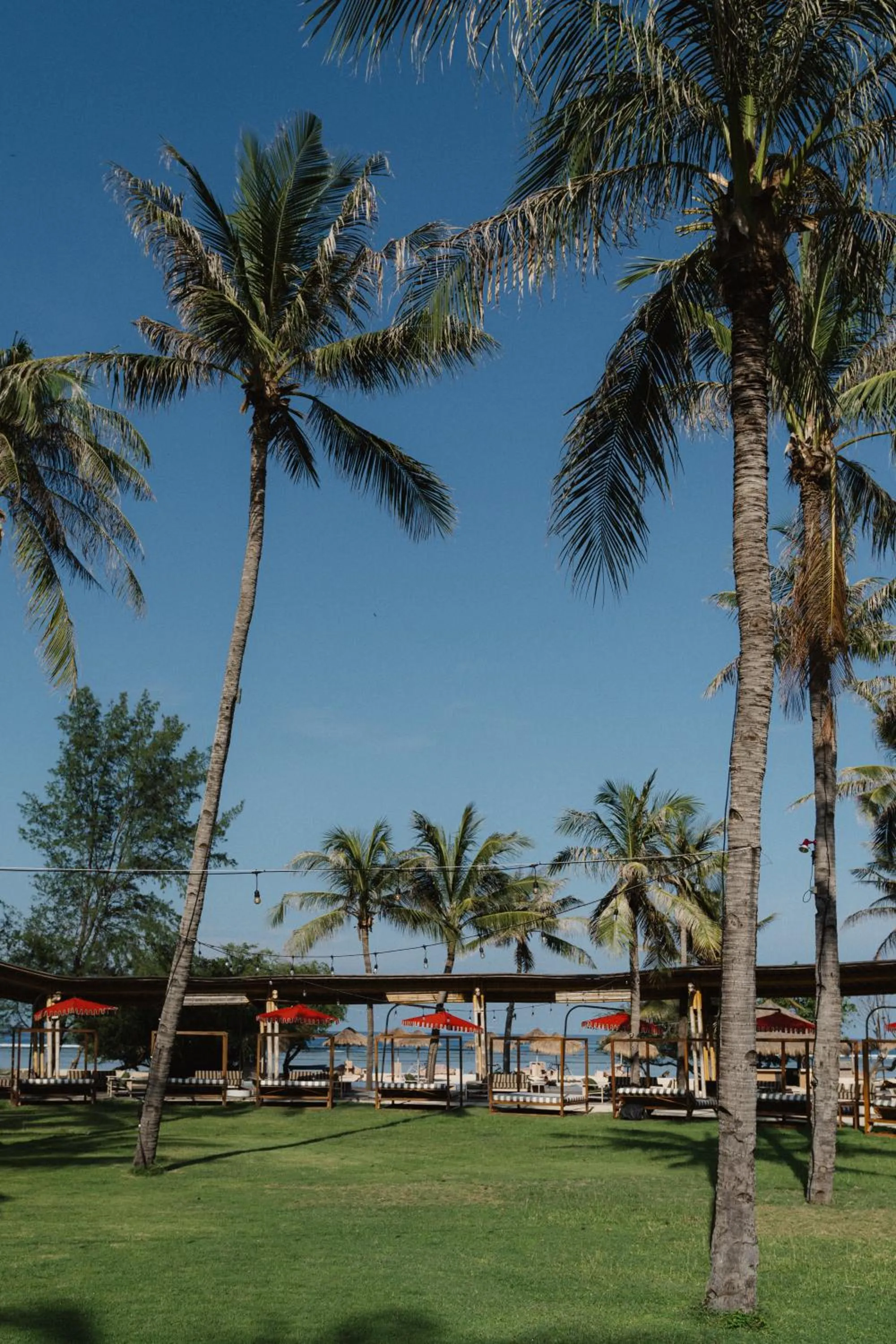 Garden in Hotel Lumi Gili Trawangan
