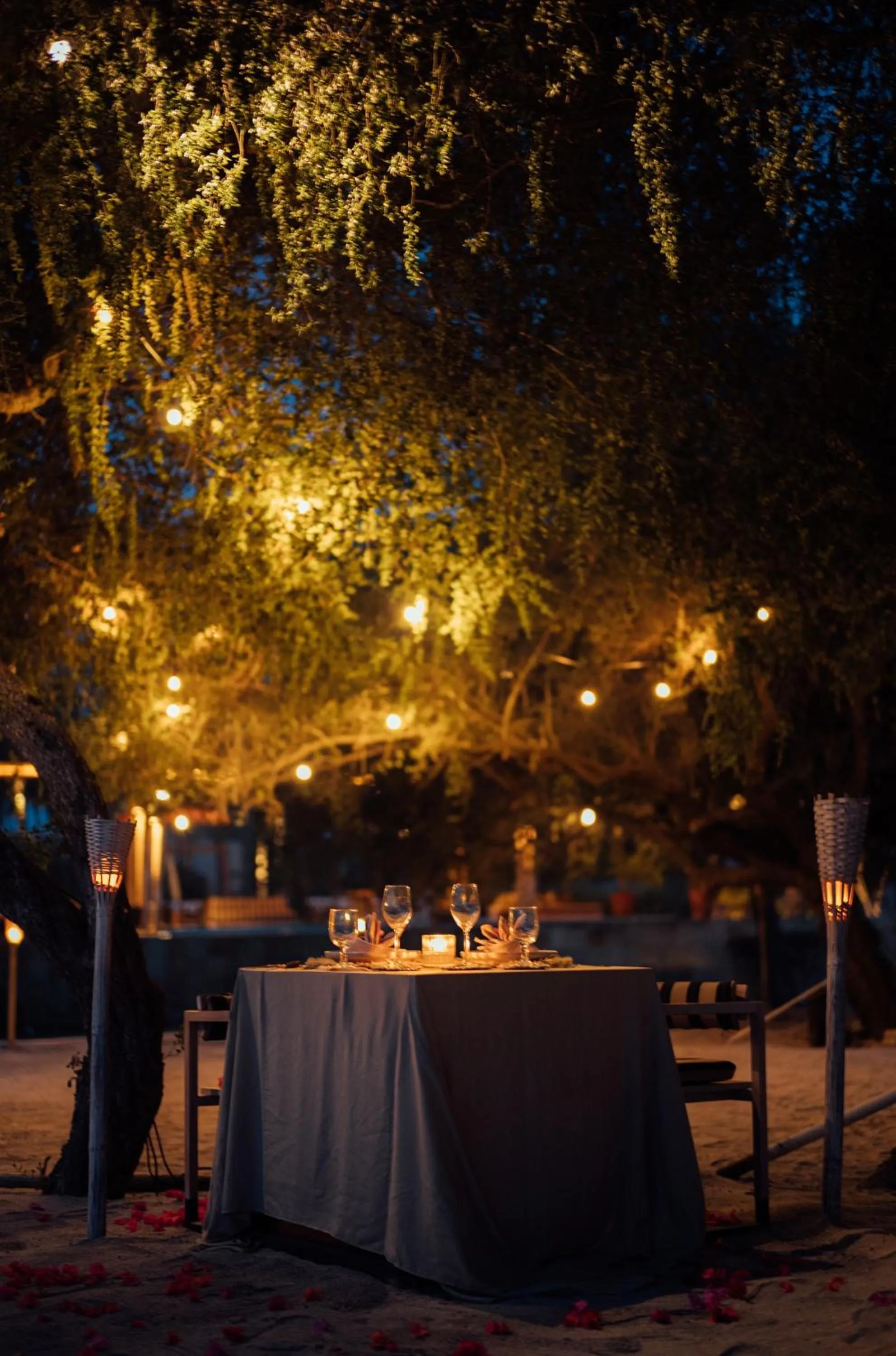 Activities in Hotel Lumi Gili Trawangan