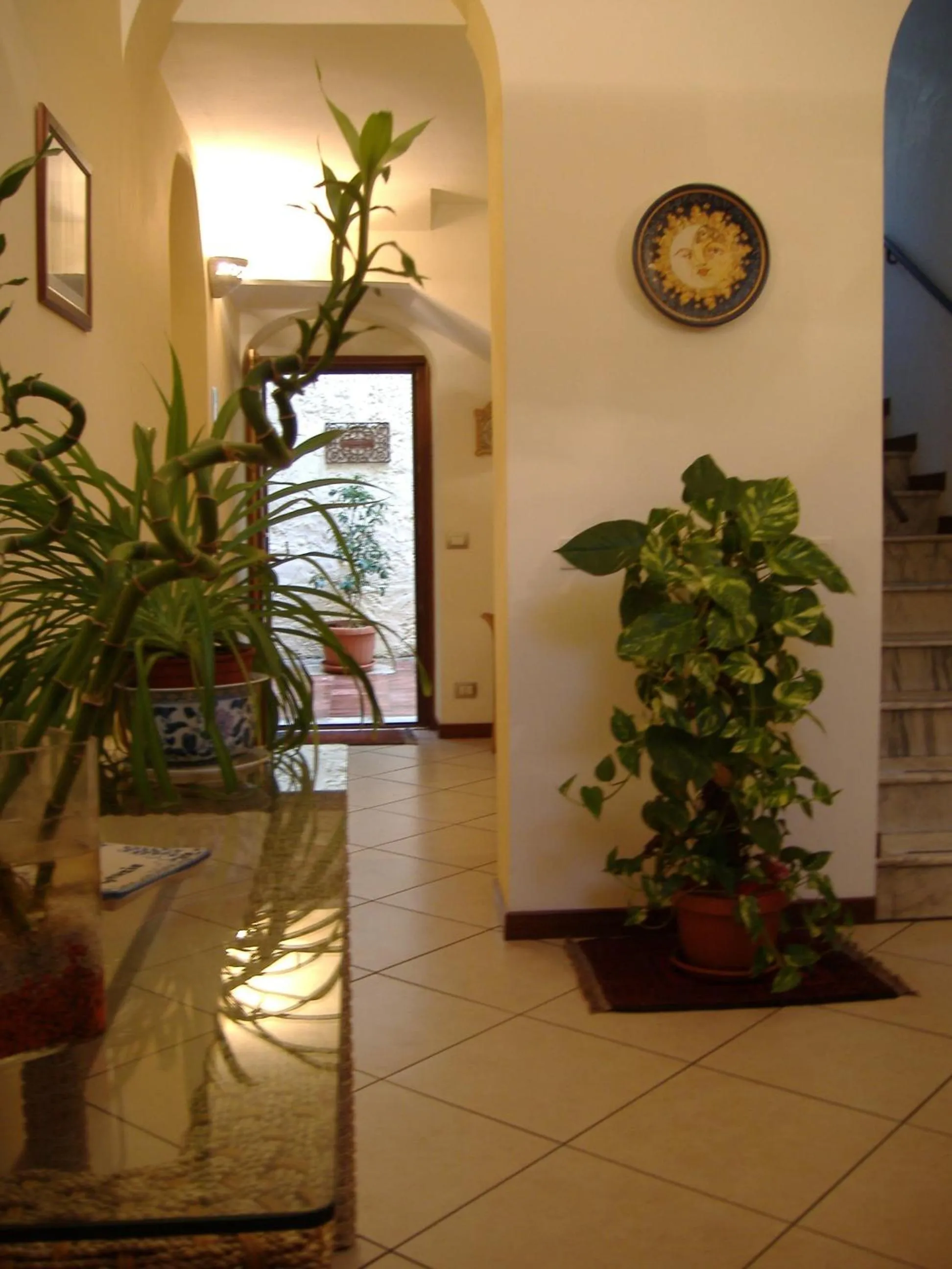 Garden in Aziyz Camere