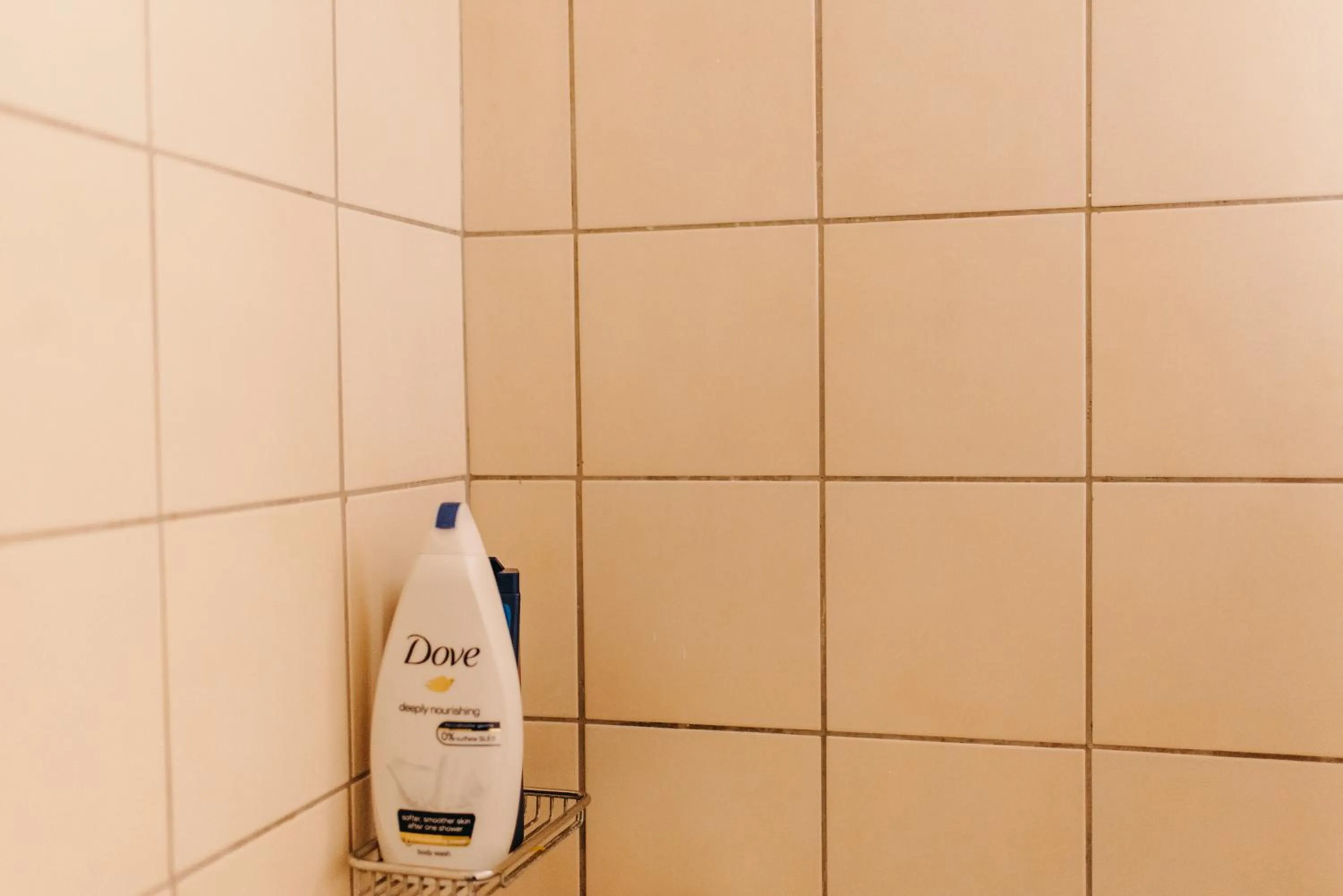 Best House, Nirvana II, Patra