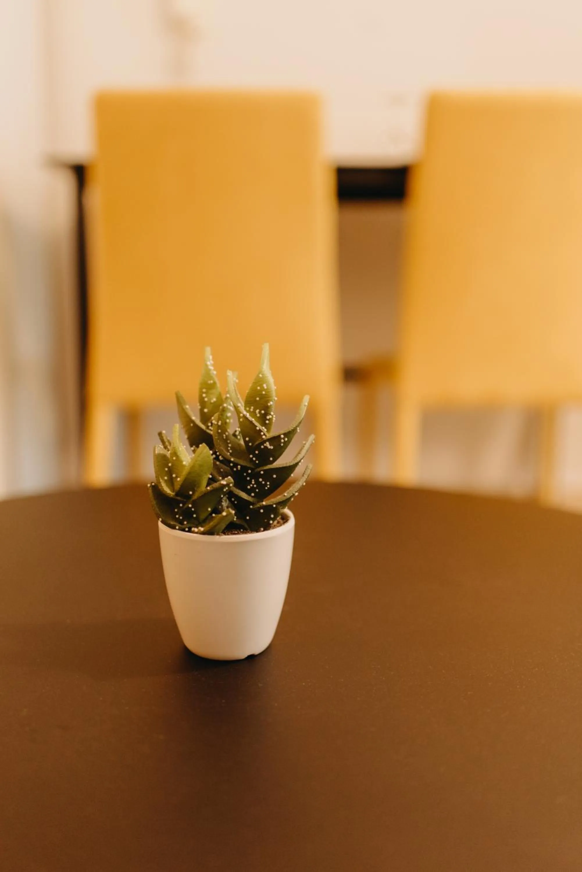 Dining area in Best House, Nirvana II, Patra
