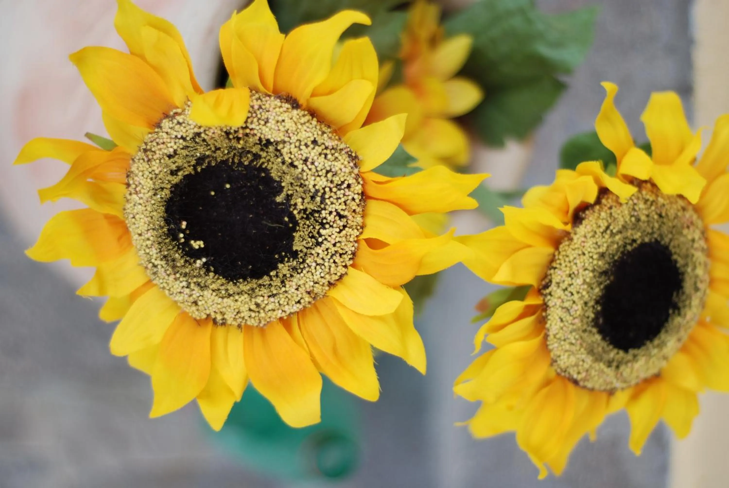 Decorative detail in The Yellow House