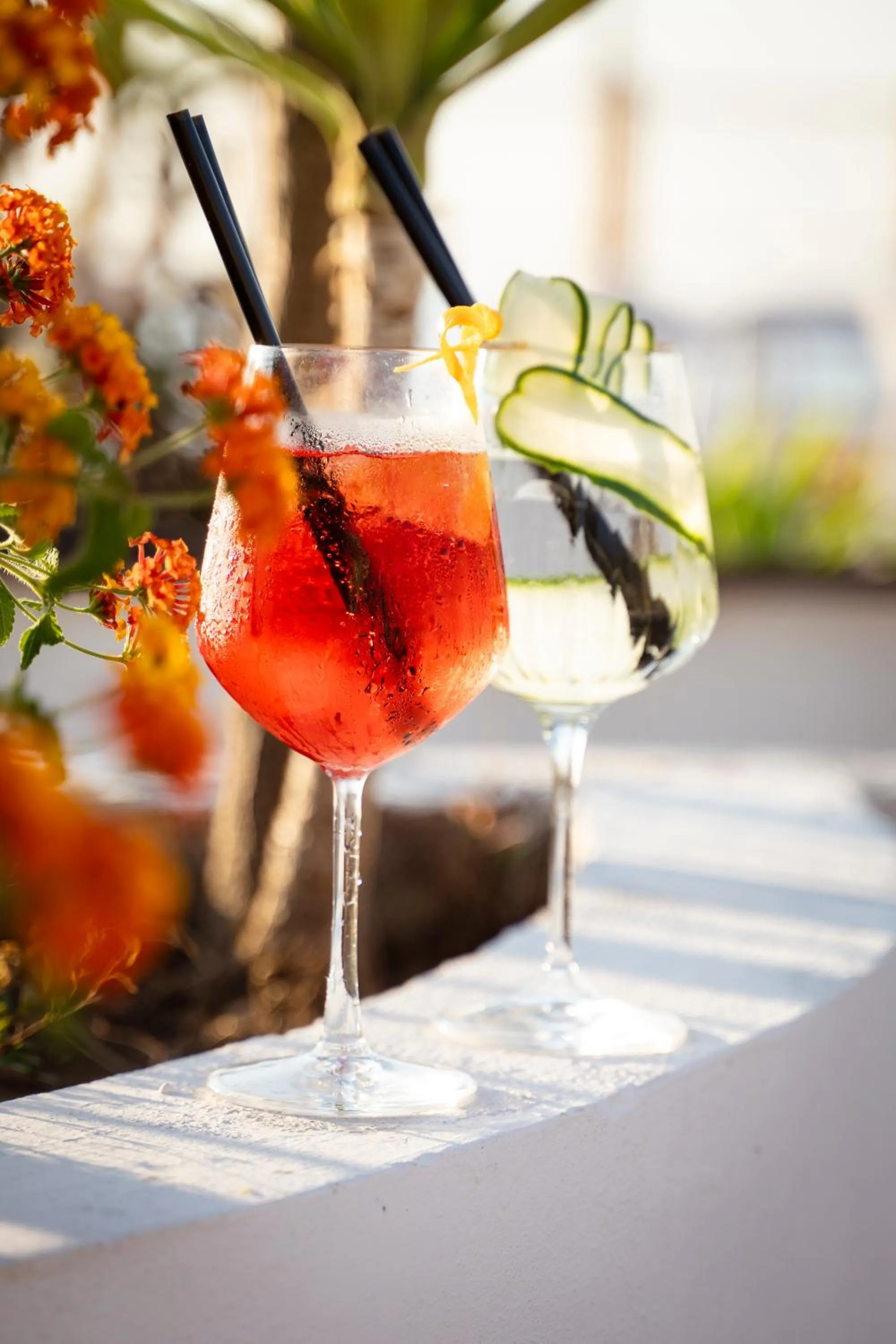 Drinks in Il Poggio Di Tropea Villaggio Soft All Inclusive