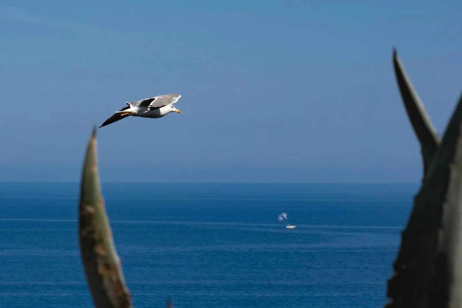 Natural landscape in Il Poggio Di Tropea Villaggio Soft All Inclusive