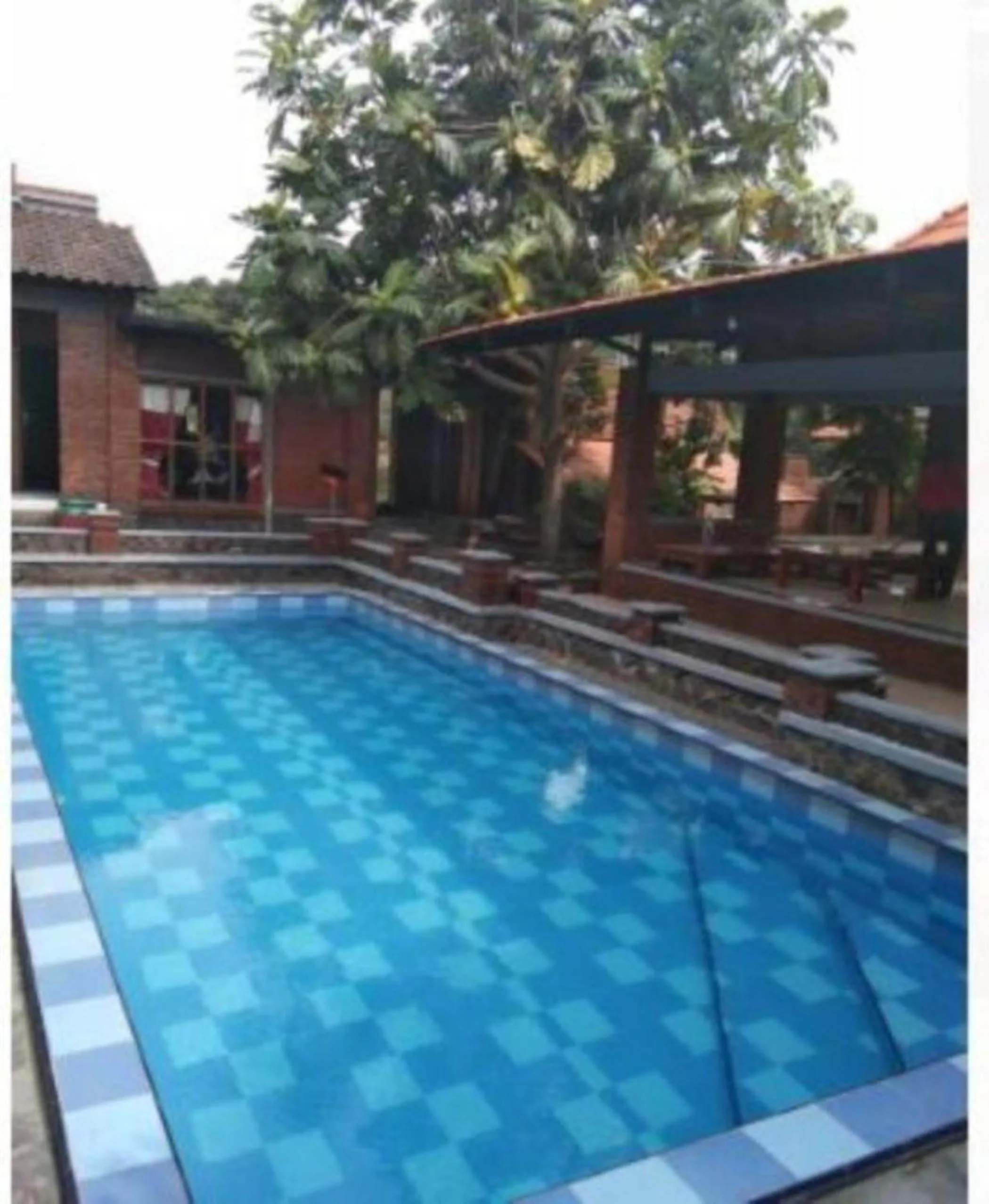 Swimming pool in Villa Mediana