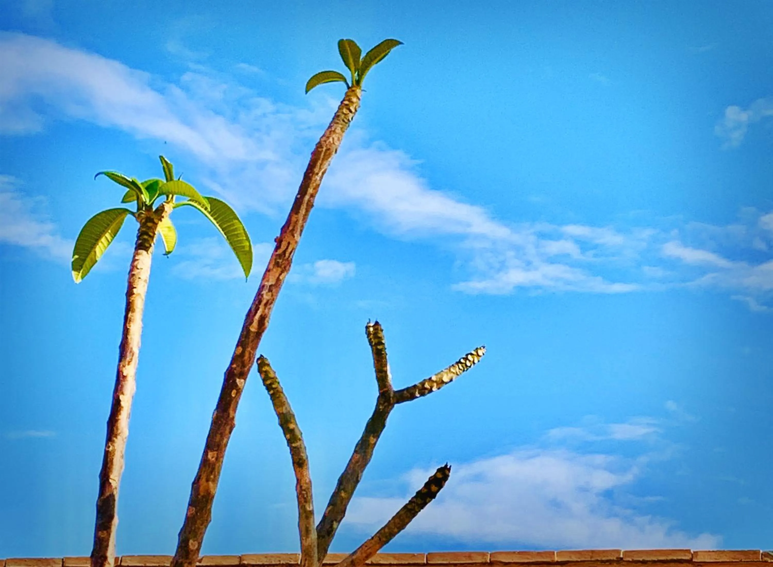 Solarium in Riad Dar Yasaman