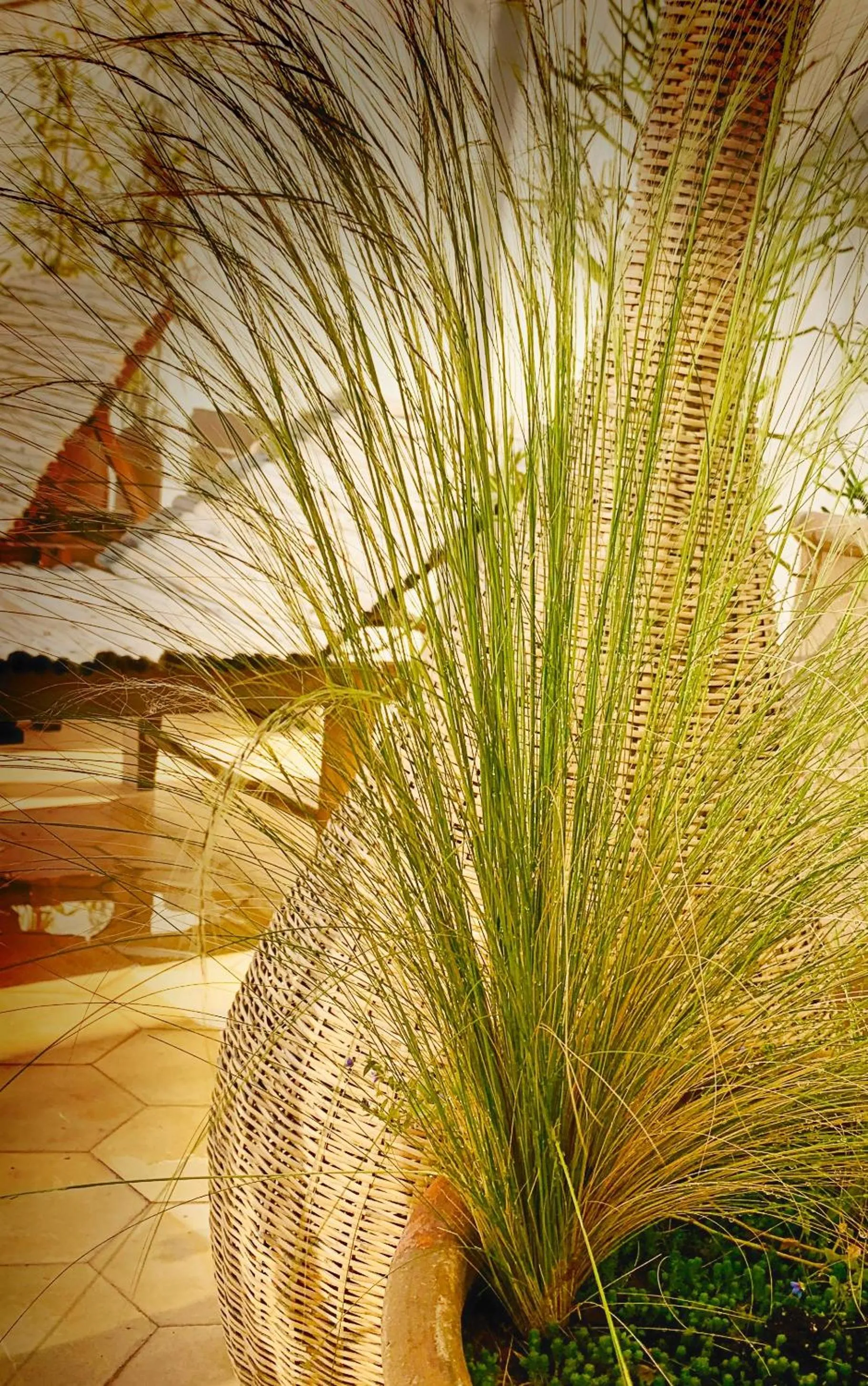 Solarium in Riad Dar Yasaman