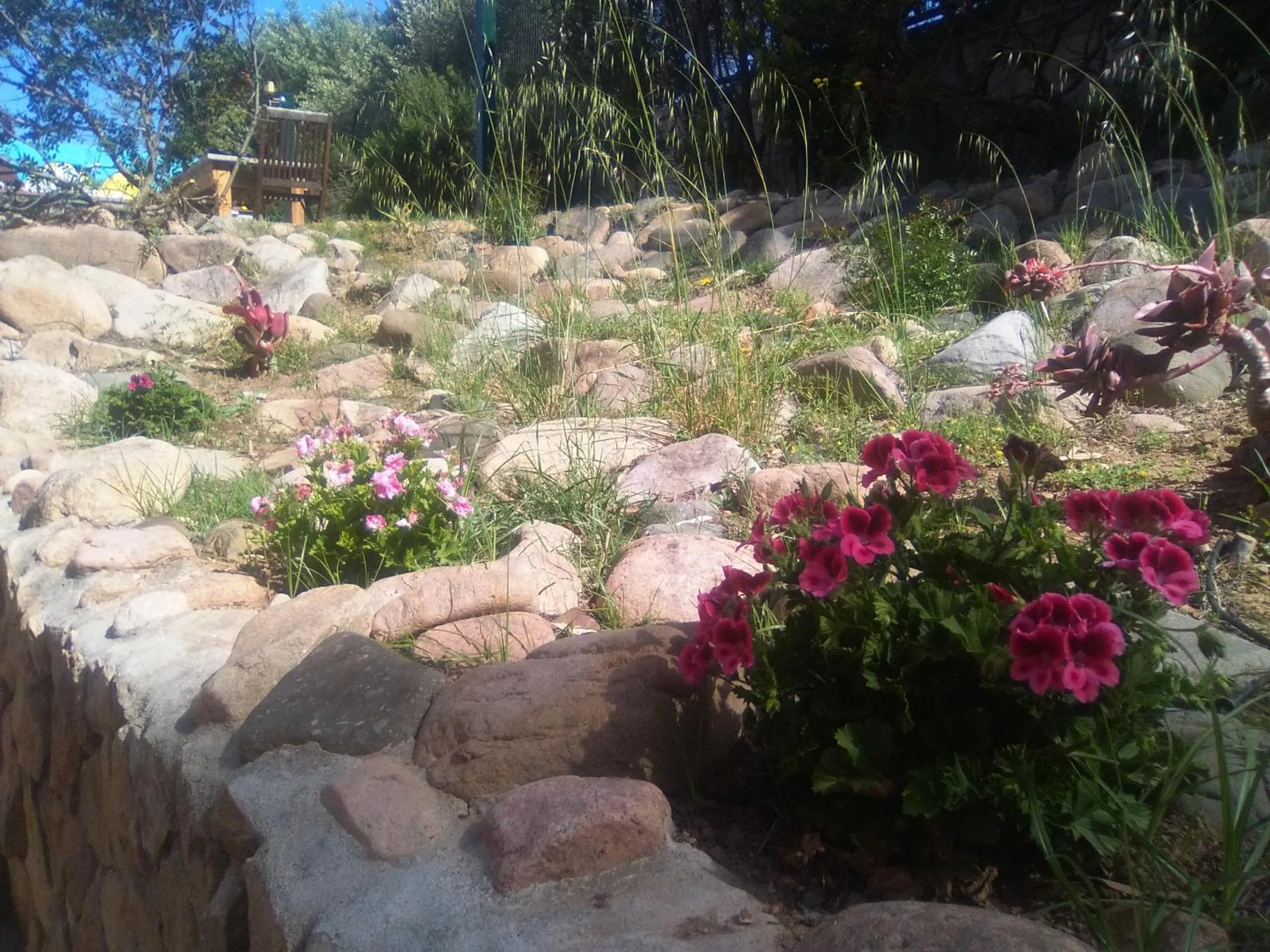 Garden in Il Locandiere