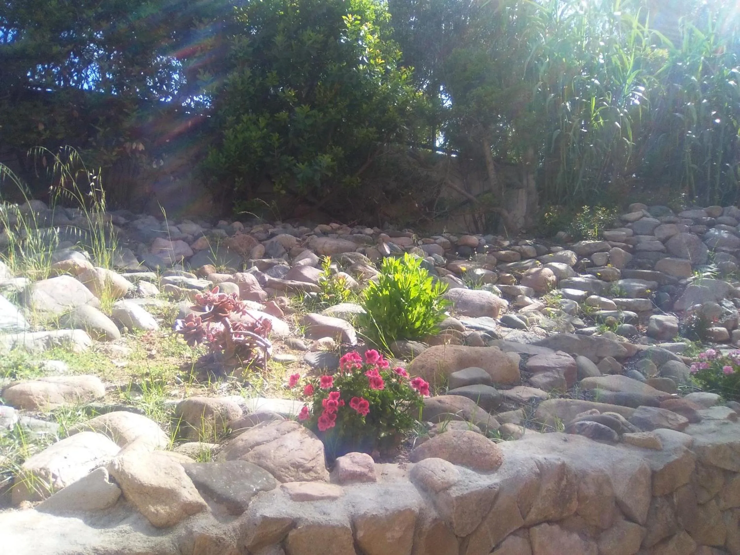 Garden in Il Locandiere