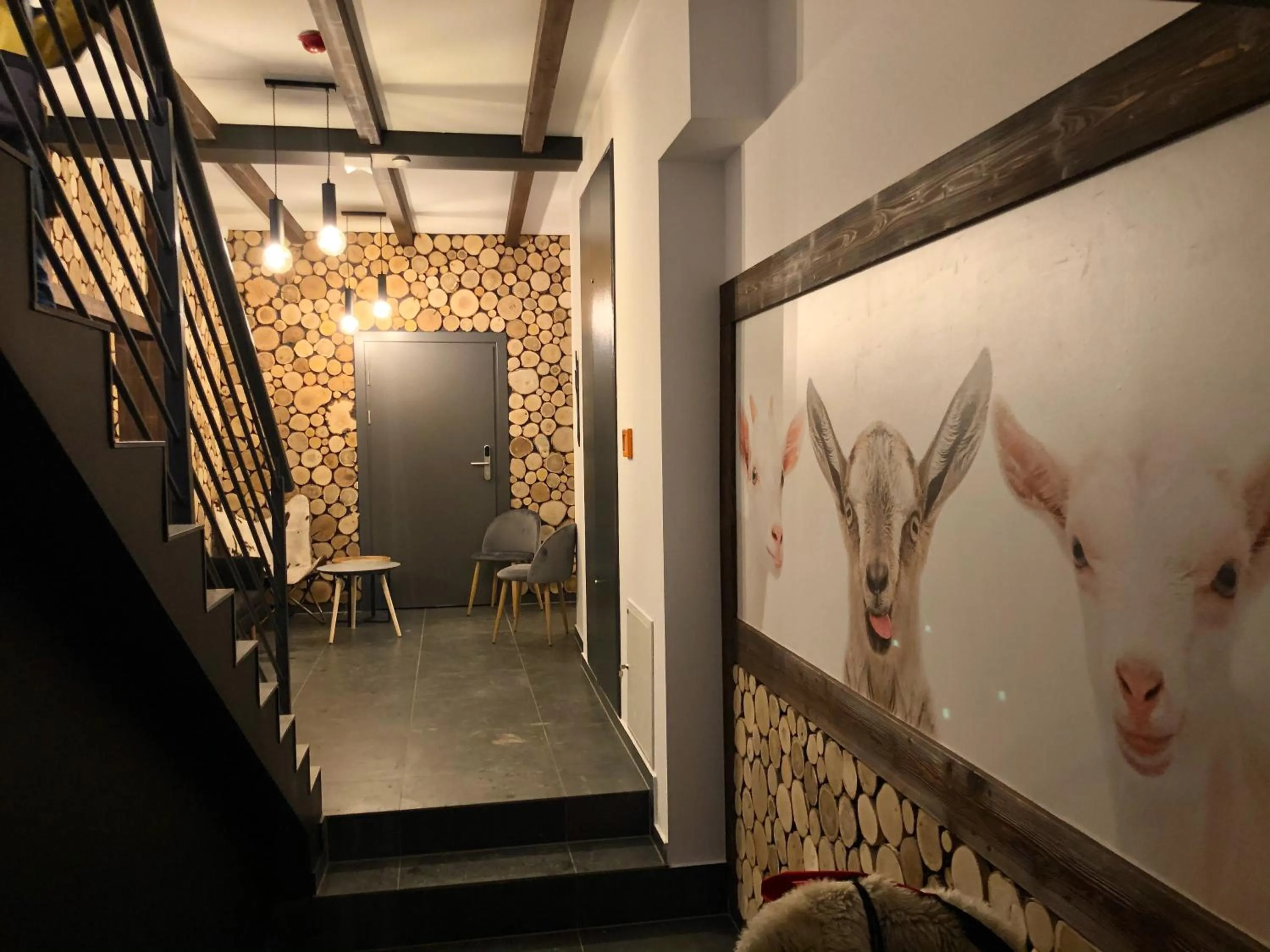 Area and facilities in Aparthotel Narciarska 2