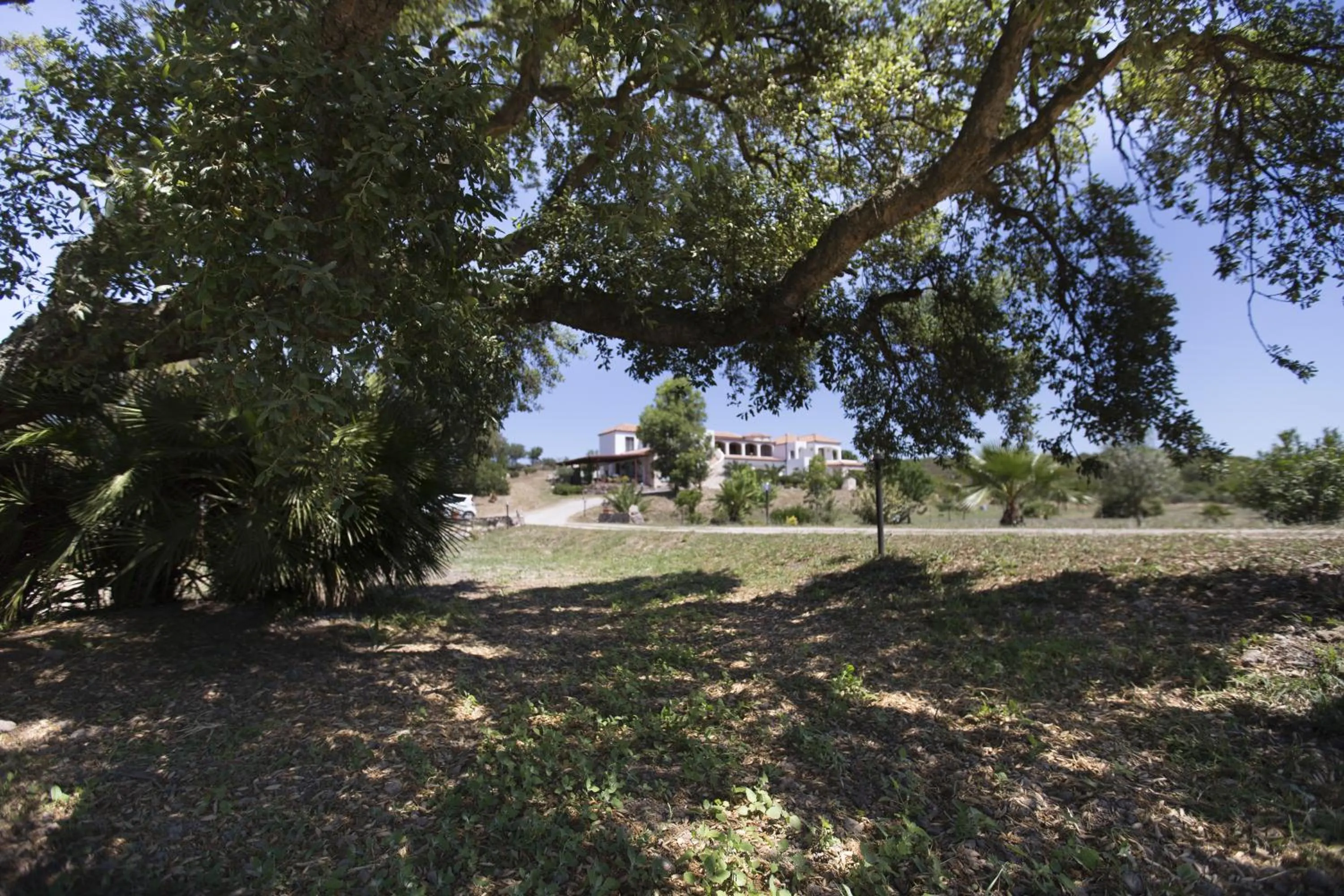 Landmark view in Las Palmas