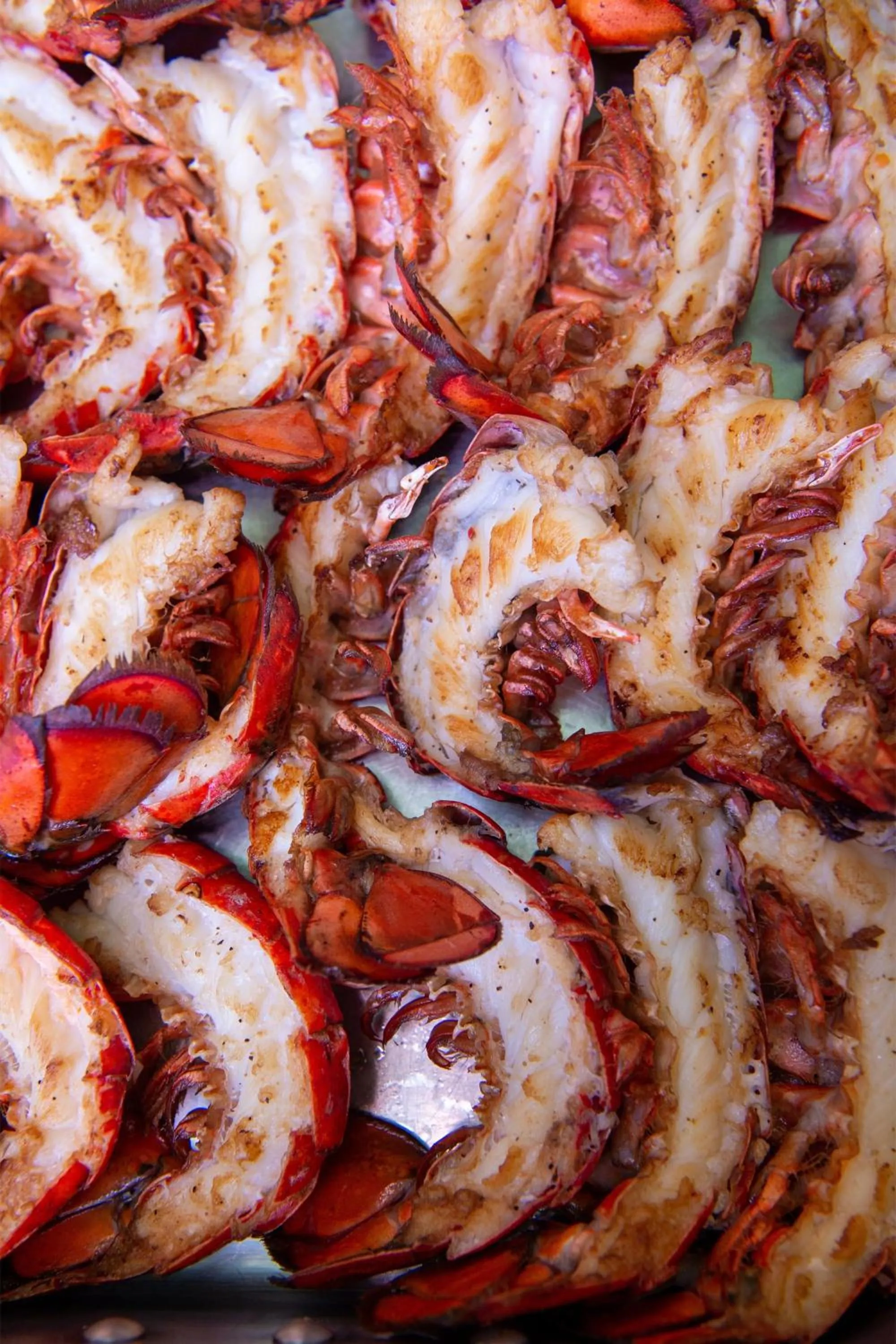 Restaurant/places to eat in Sheraton Grand Chicago Riverwalk