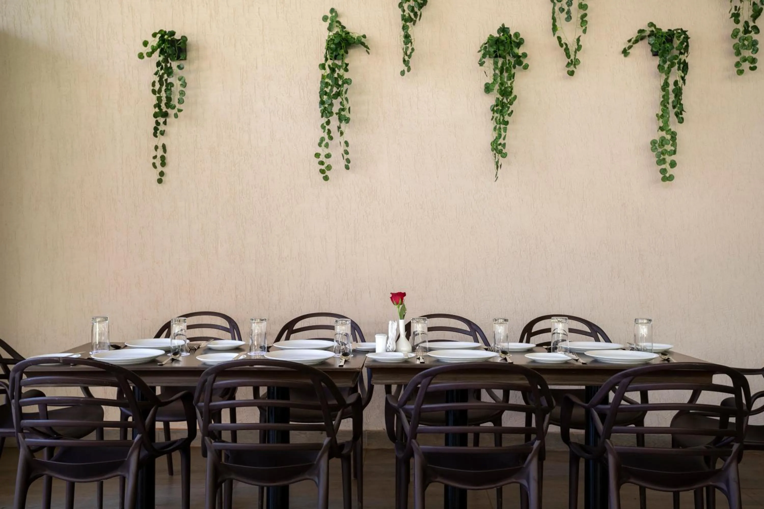 Restaurant/places to eat in Stone Wood Premier Gokarna