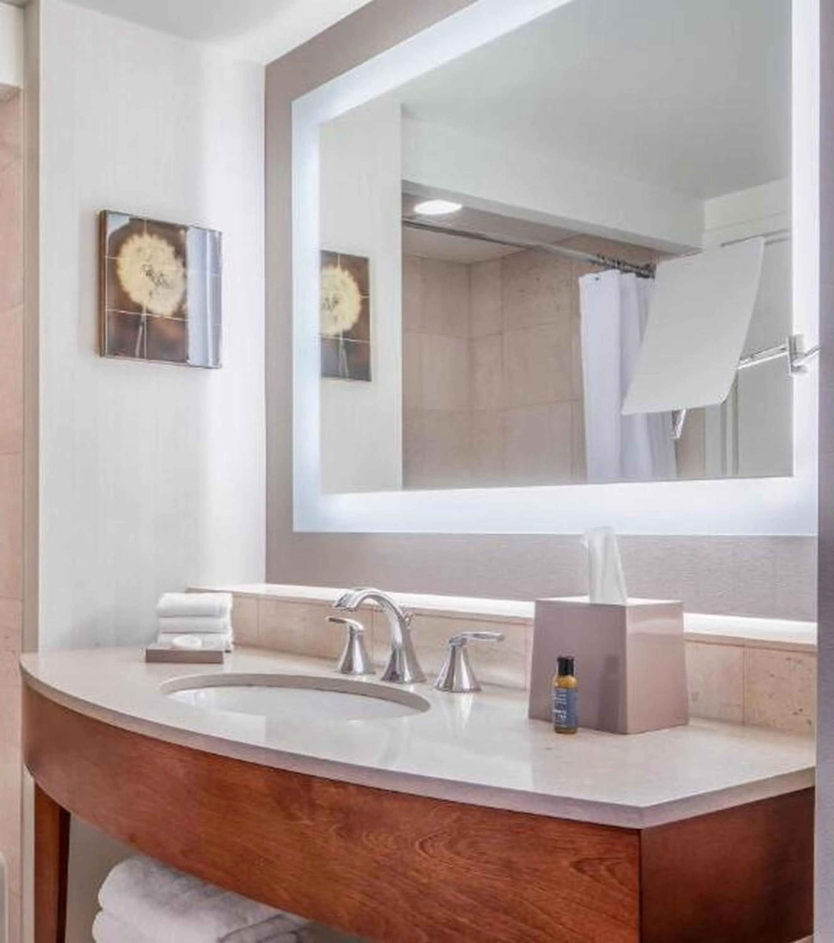 Bathroom in The Westin Buckhead Atlanta