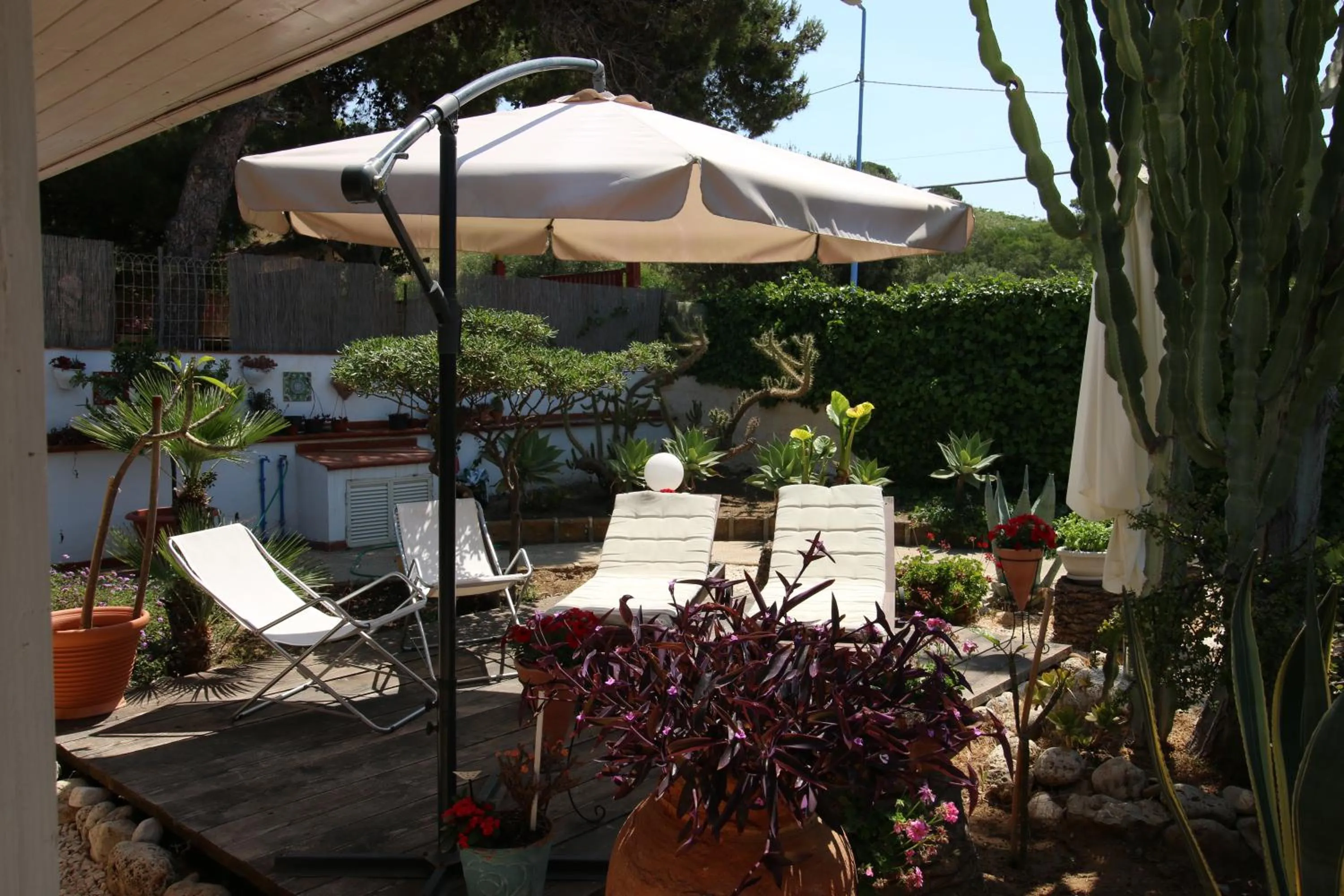 Patio in Villa Cetta B&B