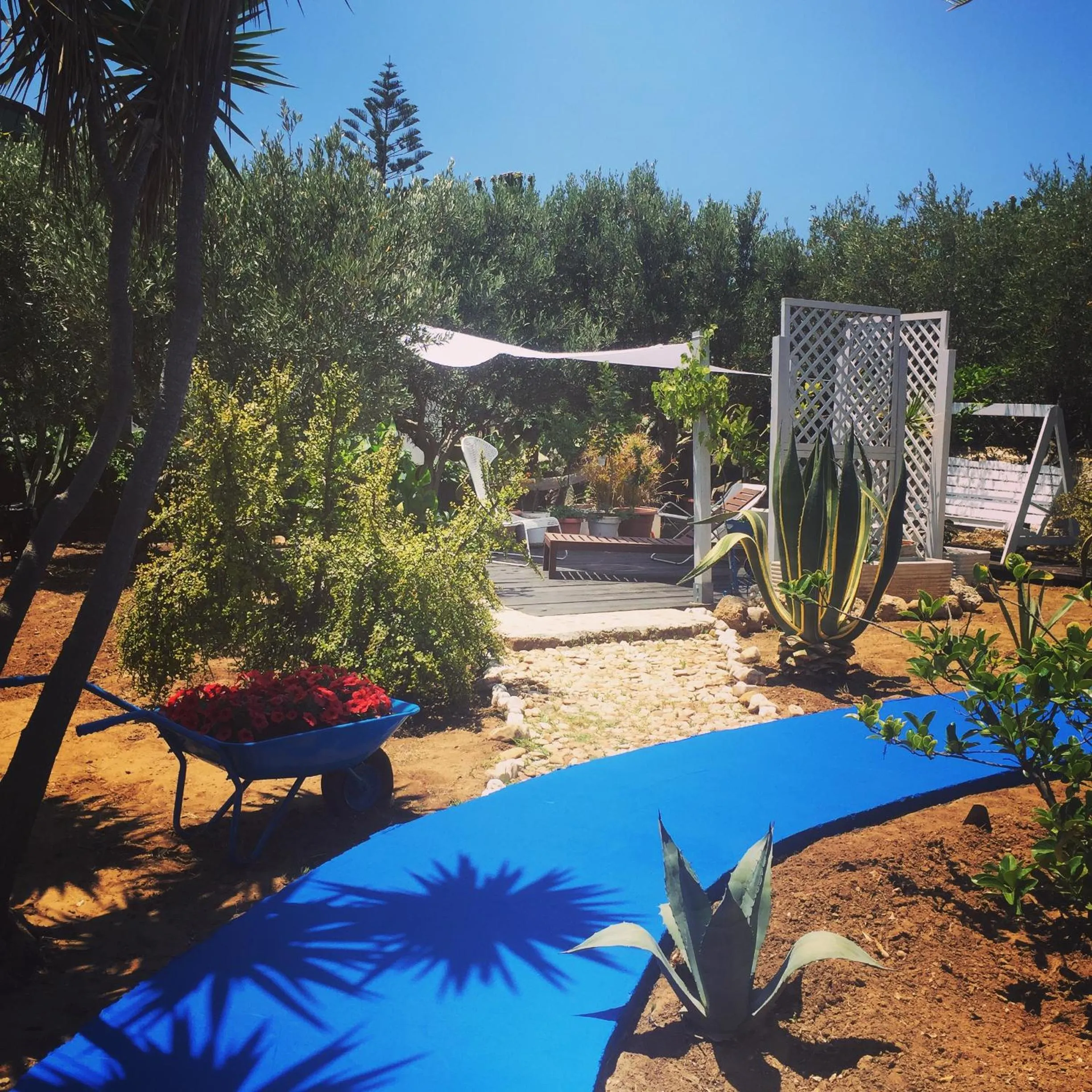 Patio in Villa Cetta B&B
