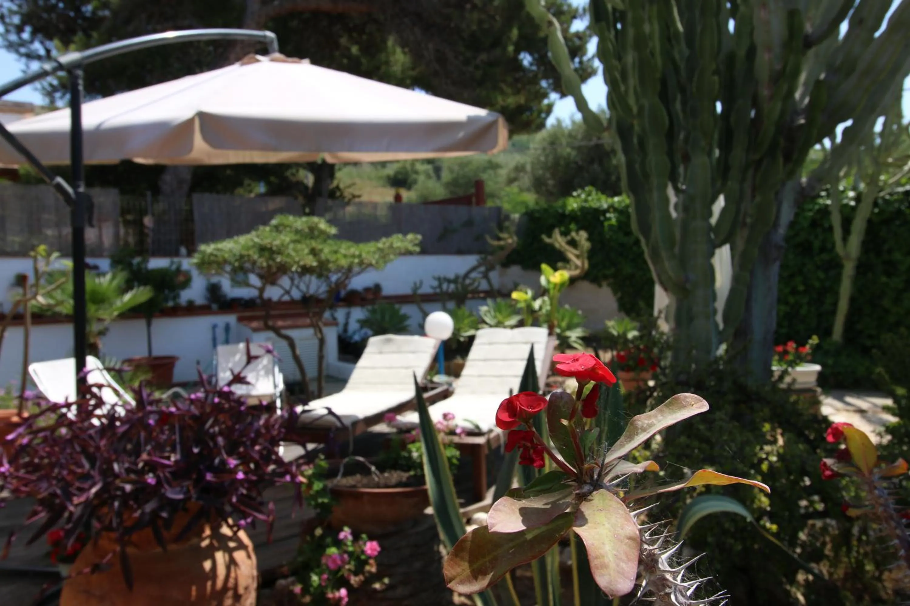 Bird's eye view in Villa Cetta B&B