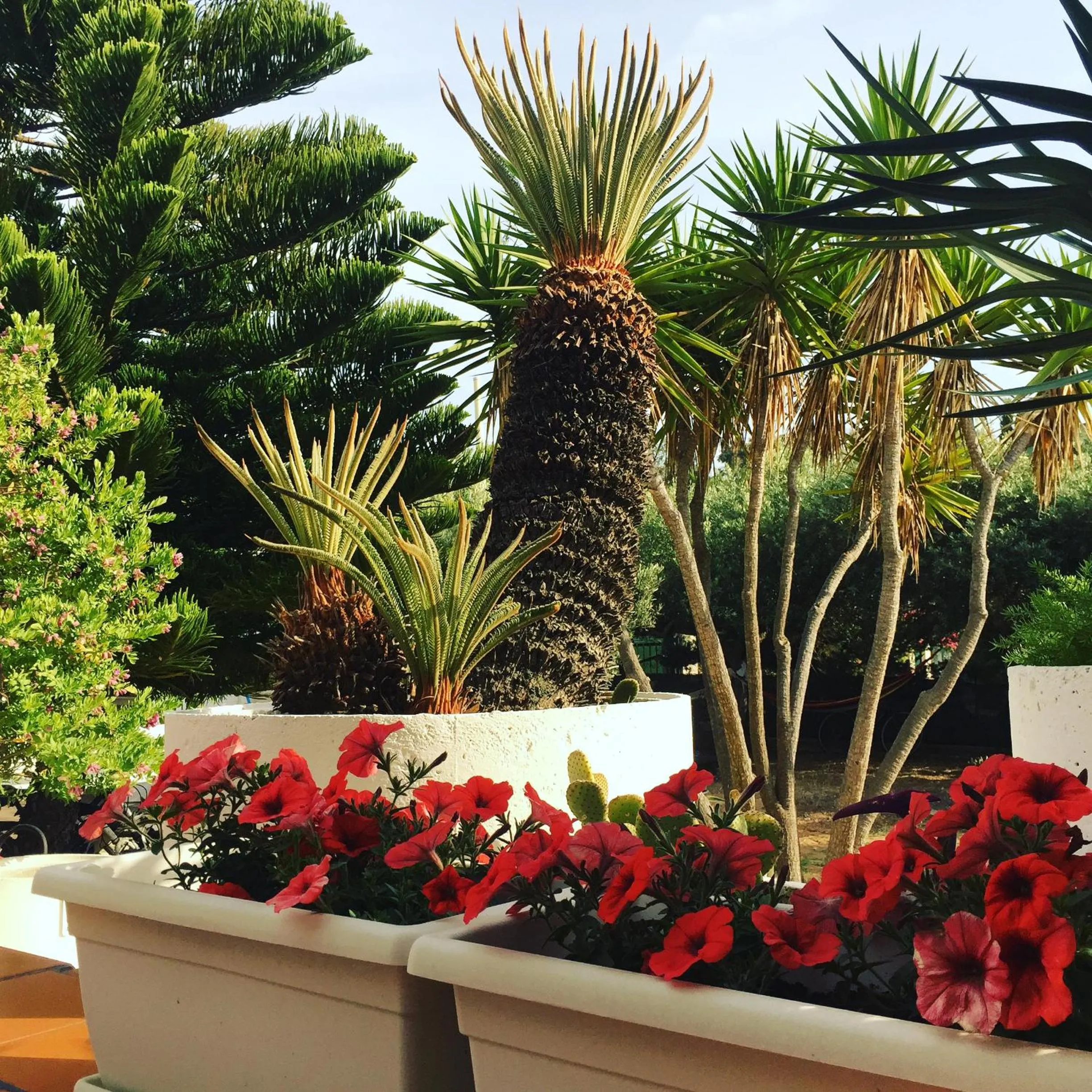 Garden in Villa Cetta B&B