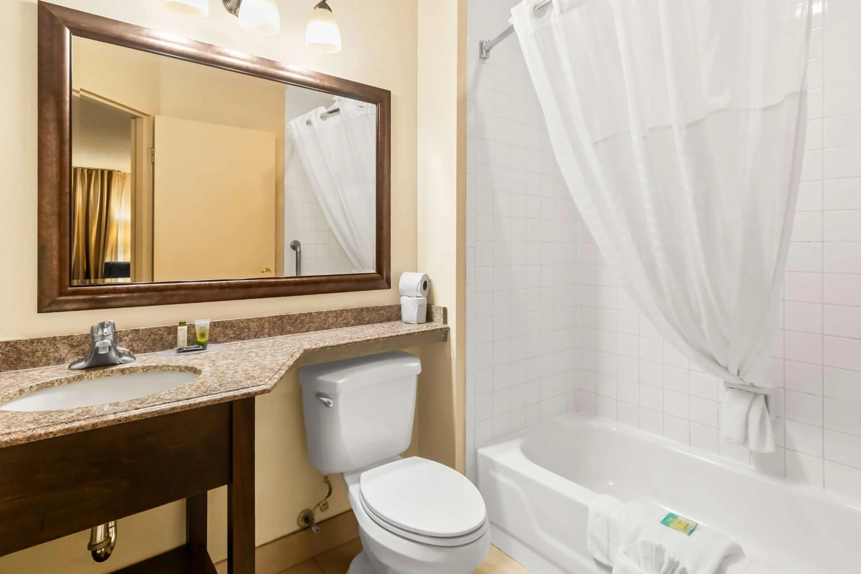 Bathroom in Comfort Inn 290/NW