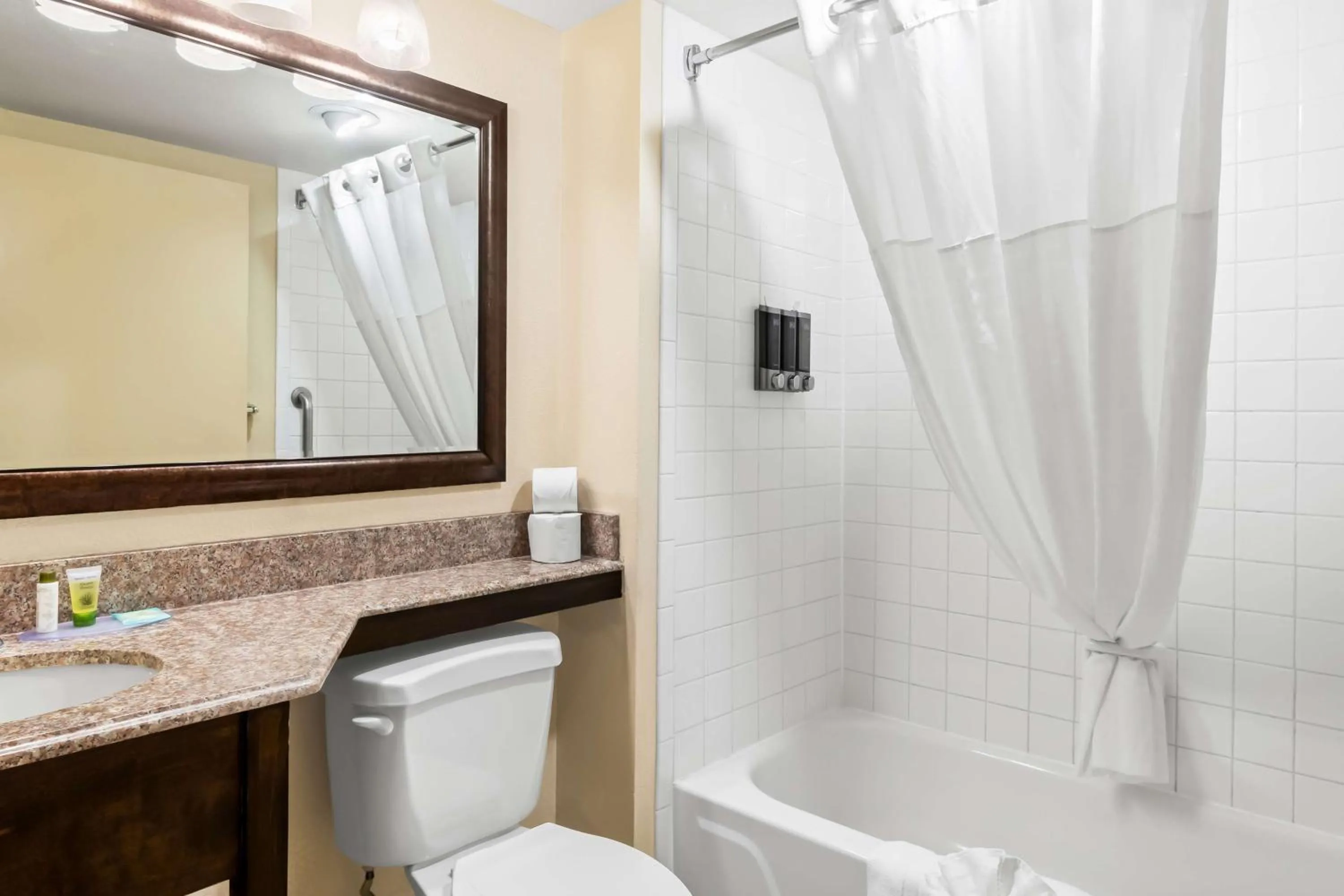 Bathroom in Comfort Inn 290/NW