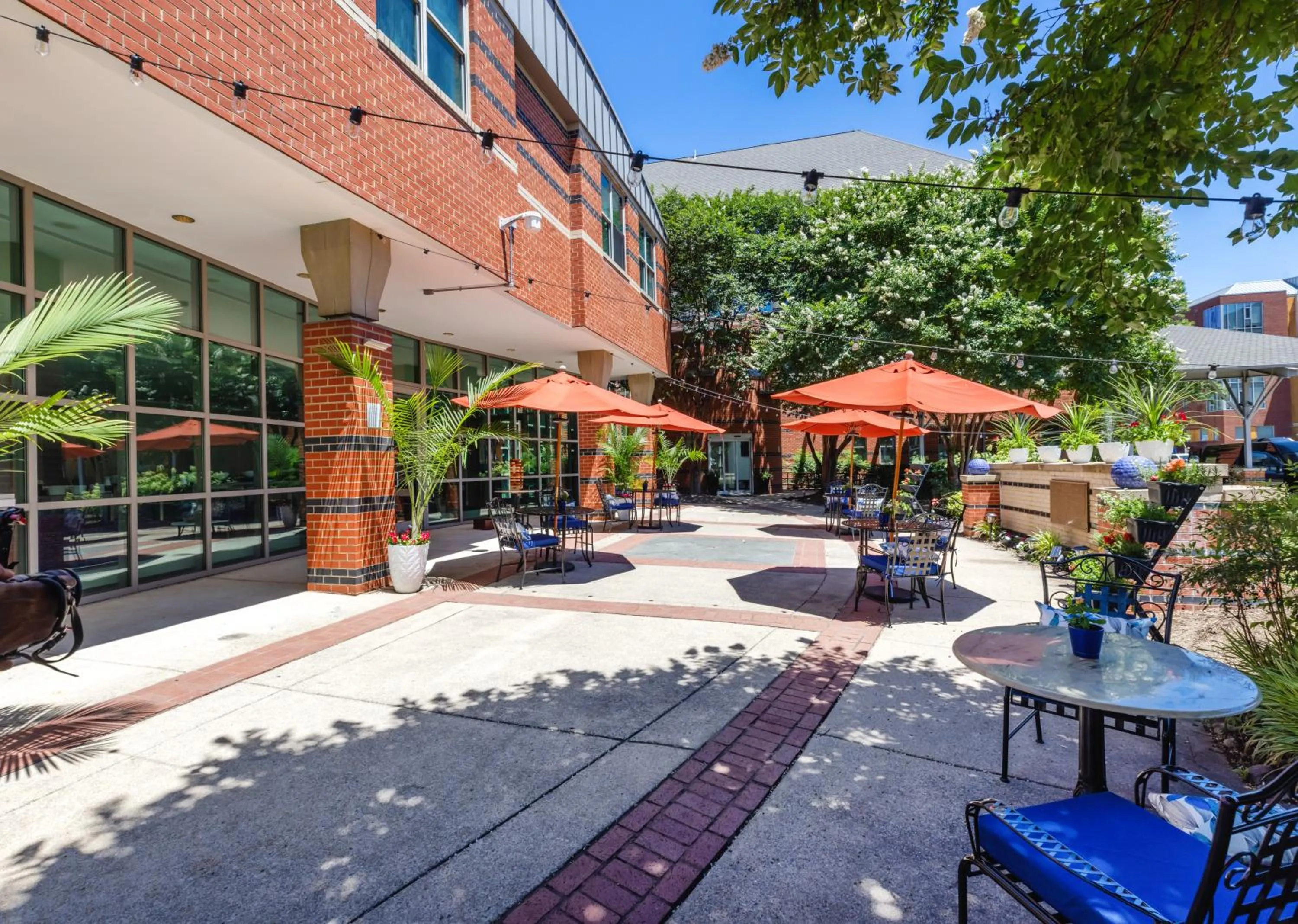 Balcony/Terrace in Kellogg Conference Hotel Capitol Hill at Gallaudet University