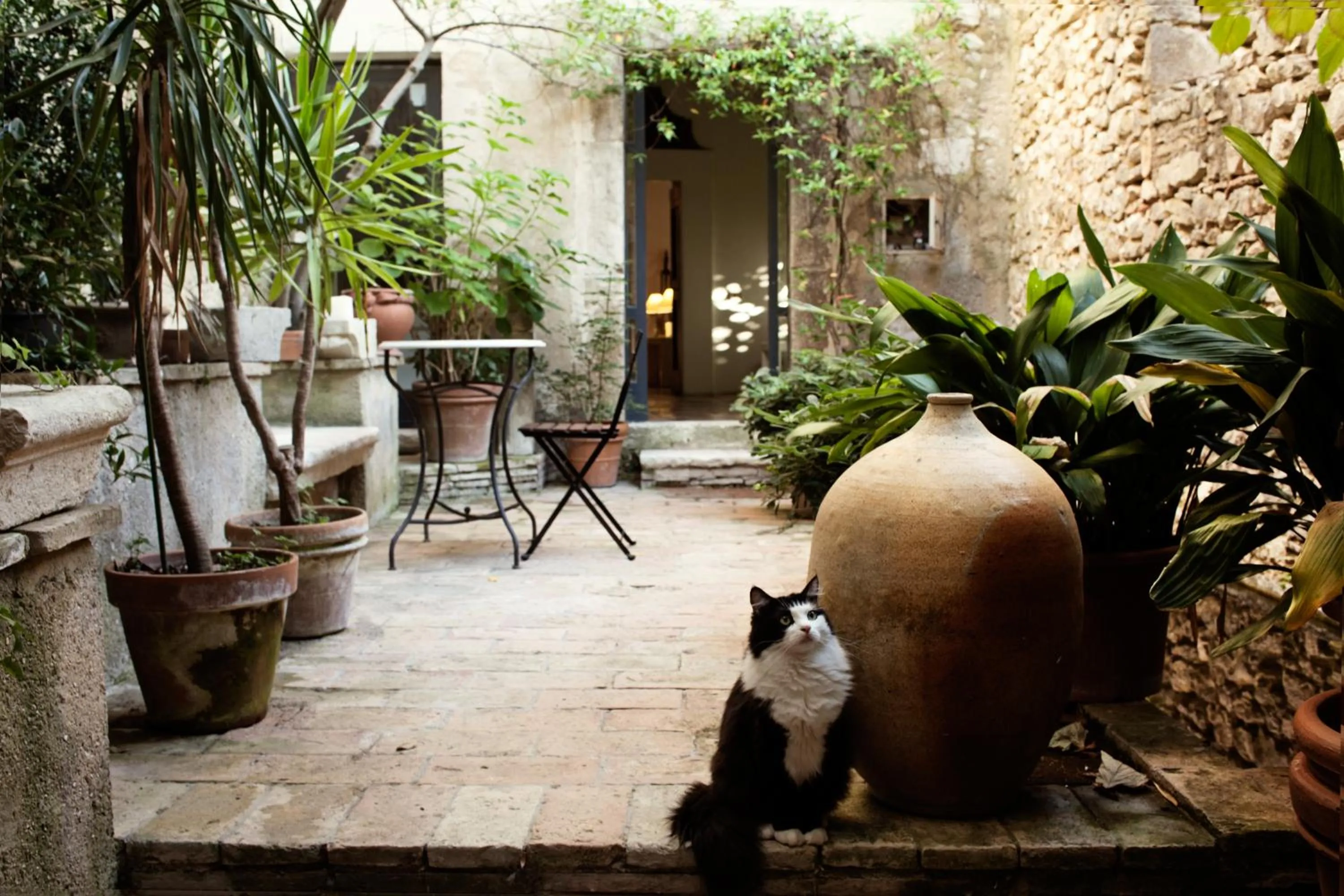 Garden in Albergo Diffuso Crispolti