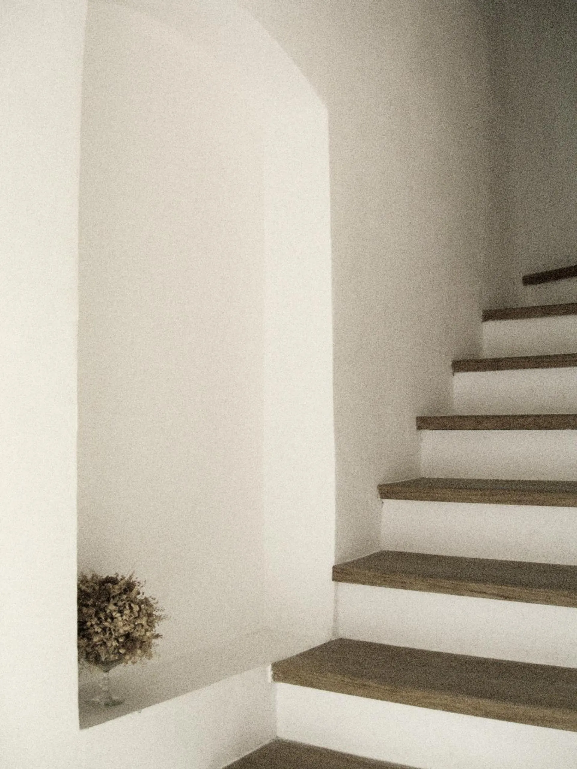 Property building in Albergo Diffuso Crispolti