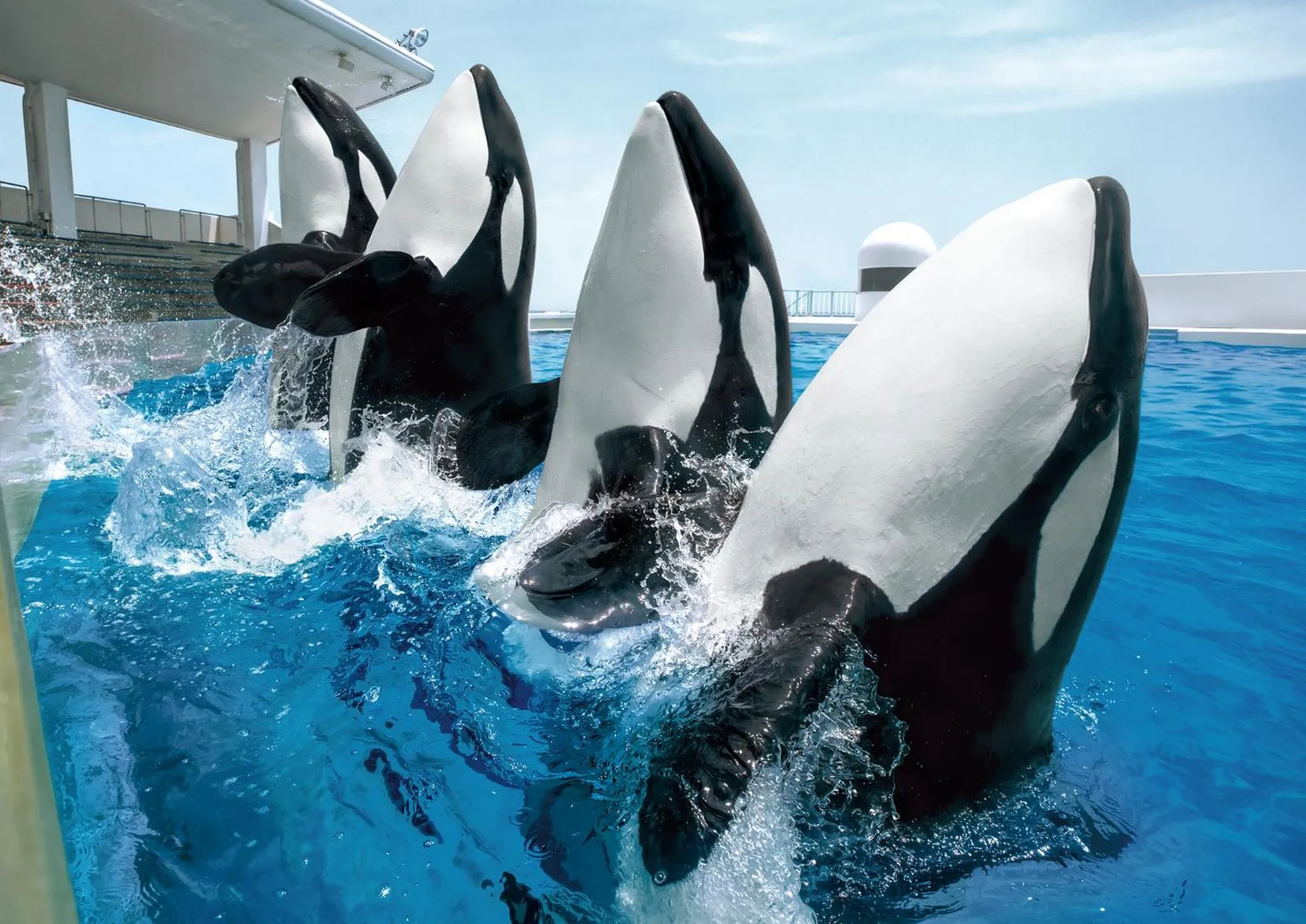 Nearby landmark in KAMENOI HOTEL Kamogawa