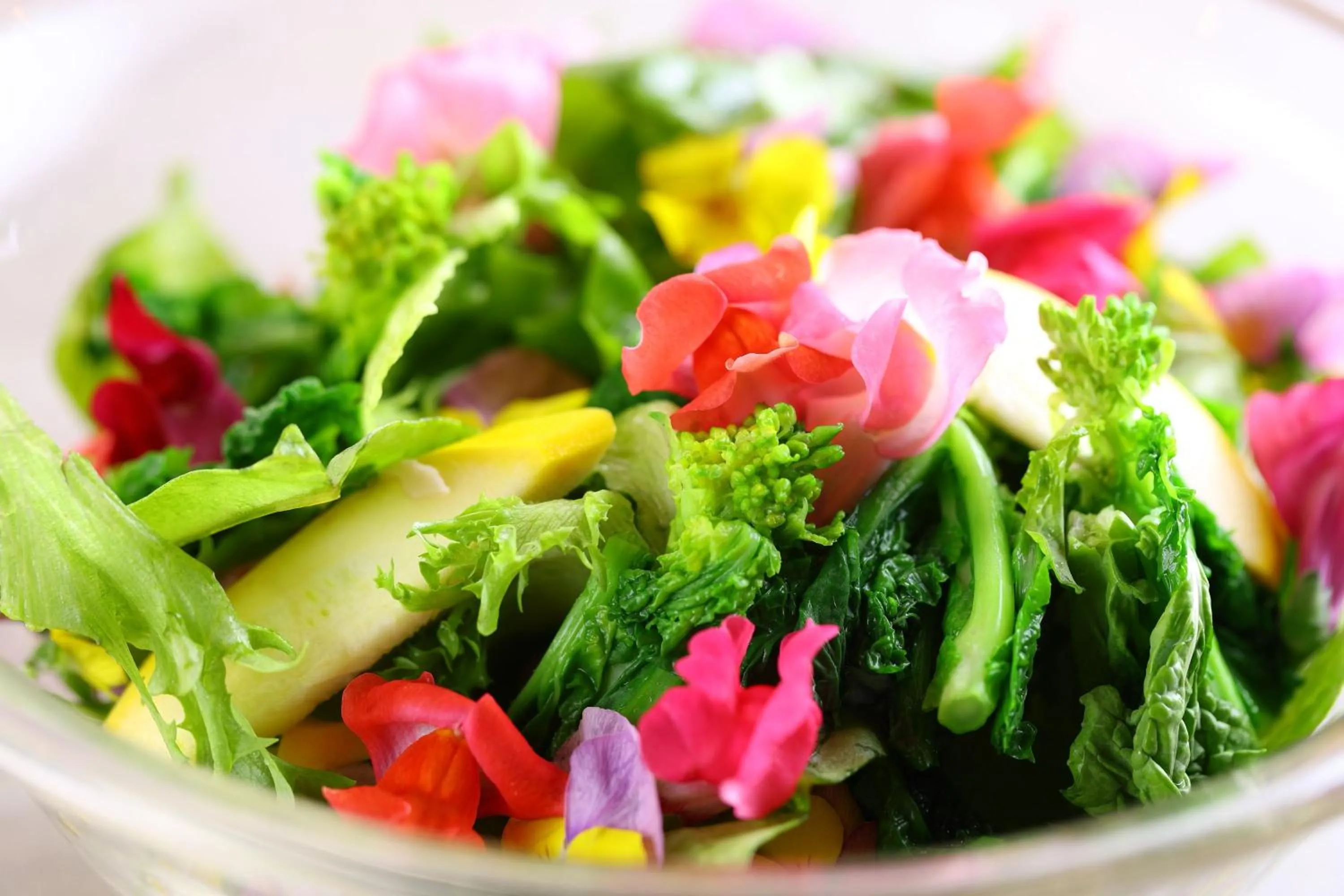 KAMENOI HOTEL Kamogawa