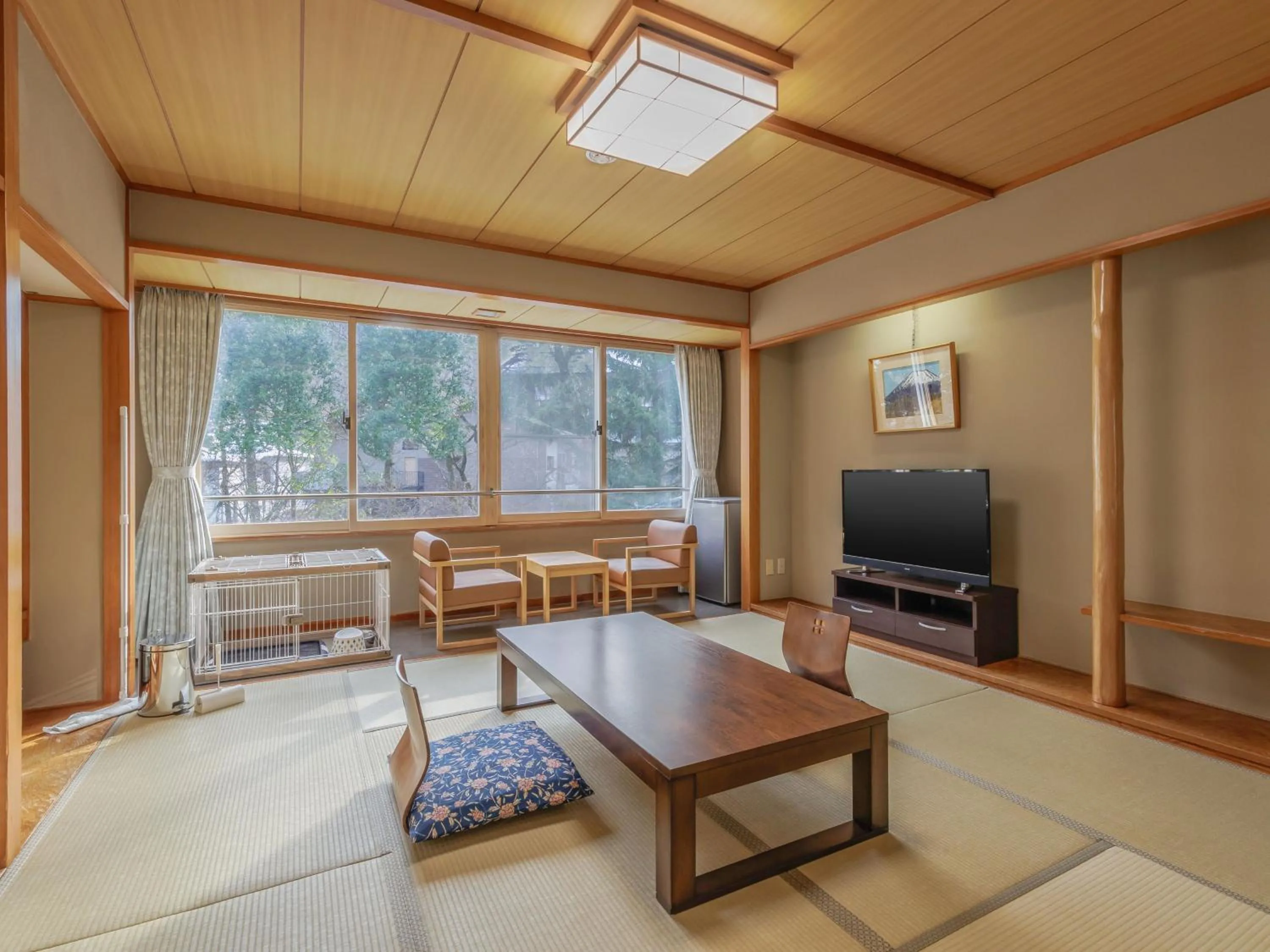 Photo of the whole room in KAMENOI HOTEL SHIOBARA Dog Friendly Hotel